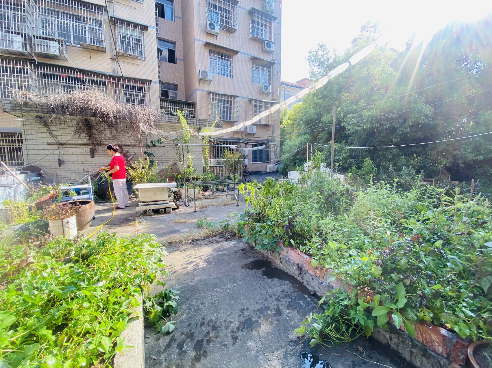 大码头街道鹅洋池居委会 2室2厅2卫 33.8万 大码头街道鹅洋池居委会 2室2厅2卫 33.8万室内图