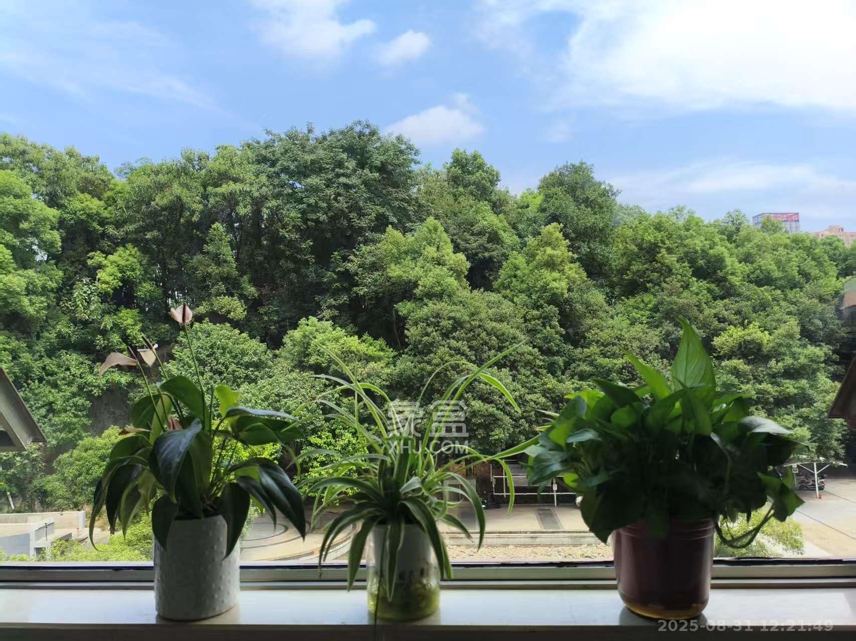 麓谷坐标  1室1厅1卫    1989.0元/月 麓谷坐标  1室1厅1卫    1989.0元/月