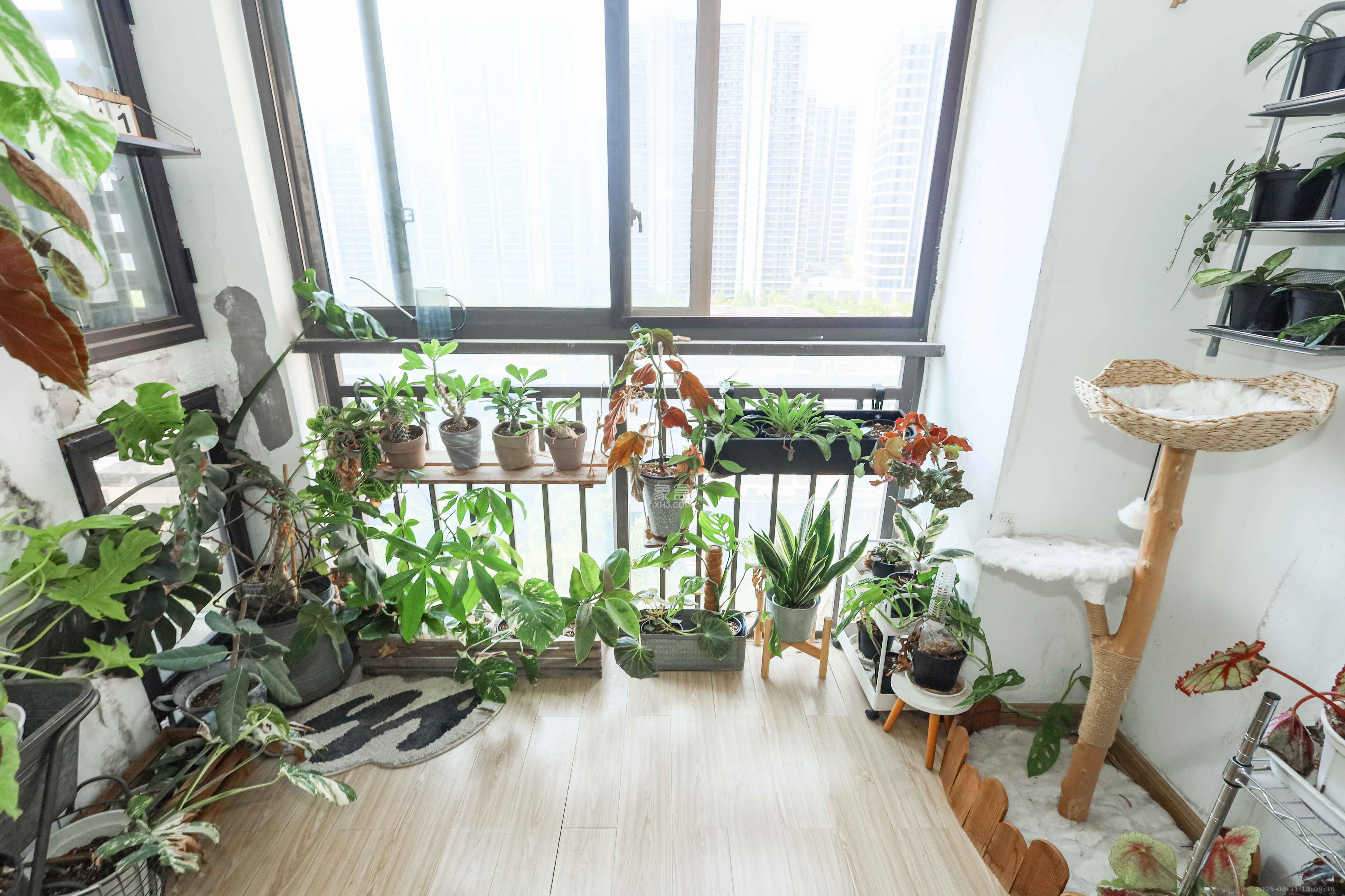 旭辉御府 3室2厅2卫 120.0万 旭辉御府 3室2厅2卫 120.0万阳台