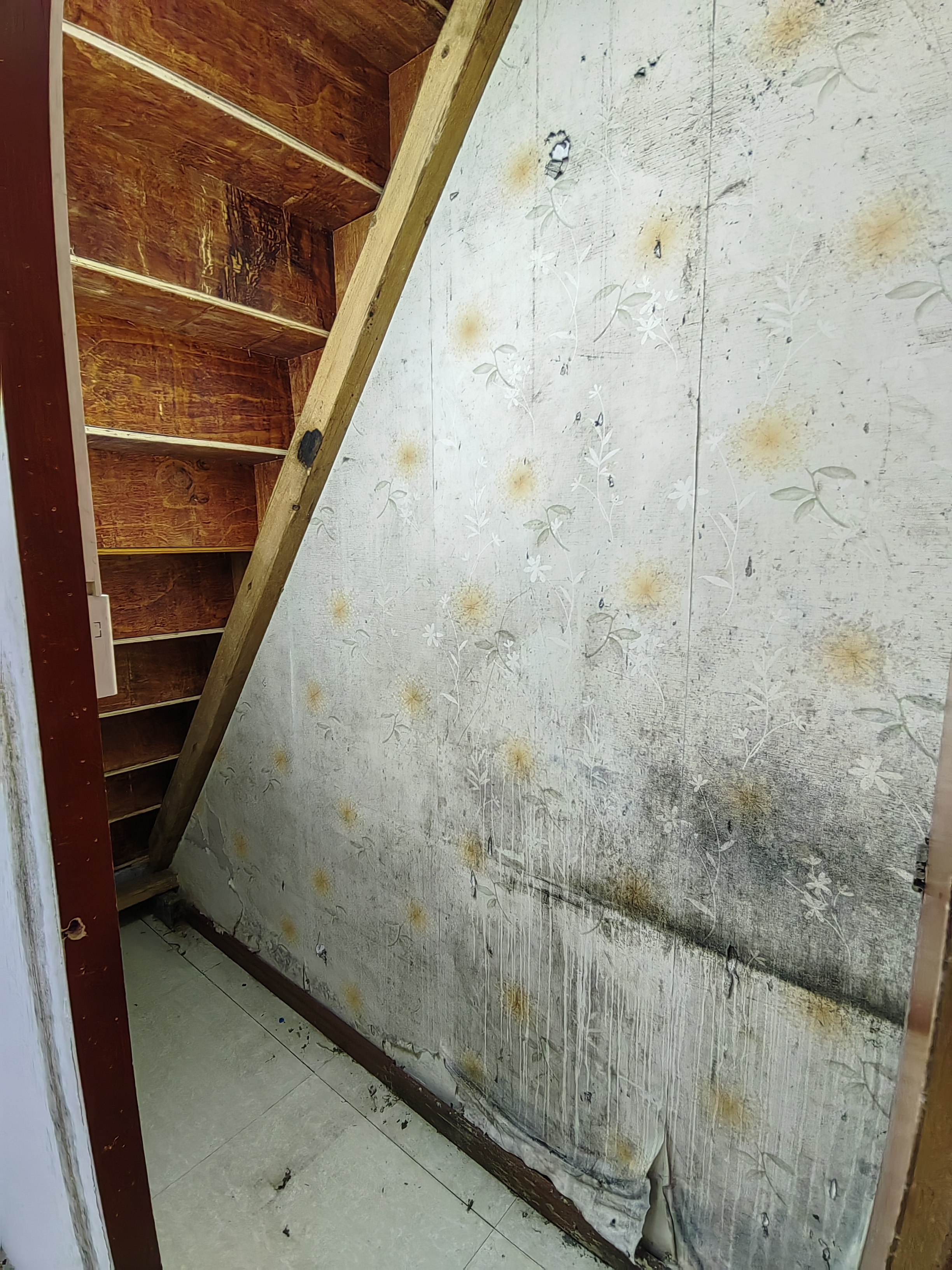 恒大绿洲 1室1厅1卫 2000.0元/月 恒大绿洲 1室1厅1卫 2000.0元/月室内图