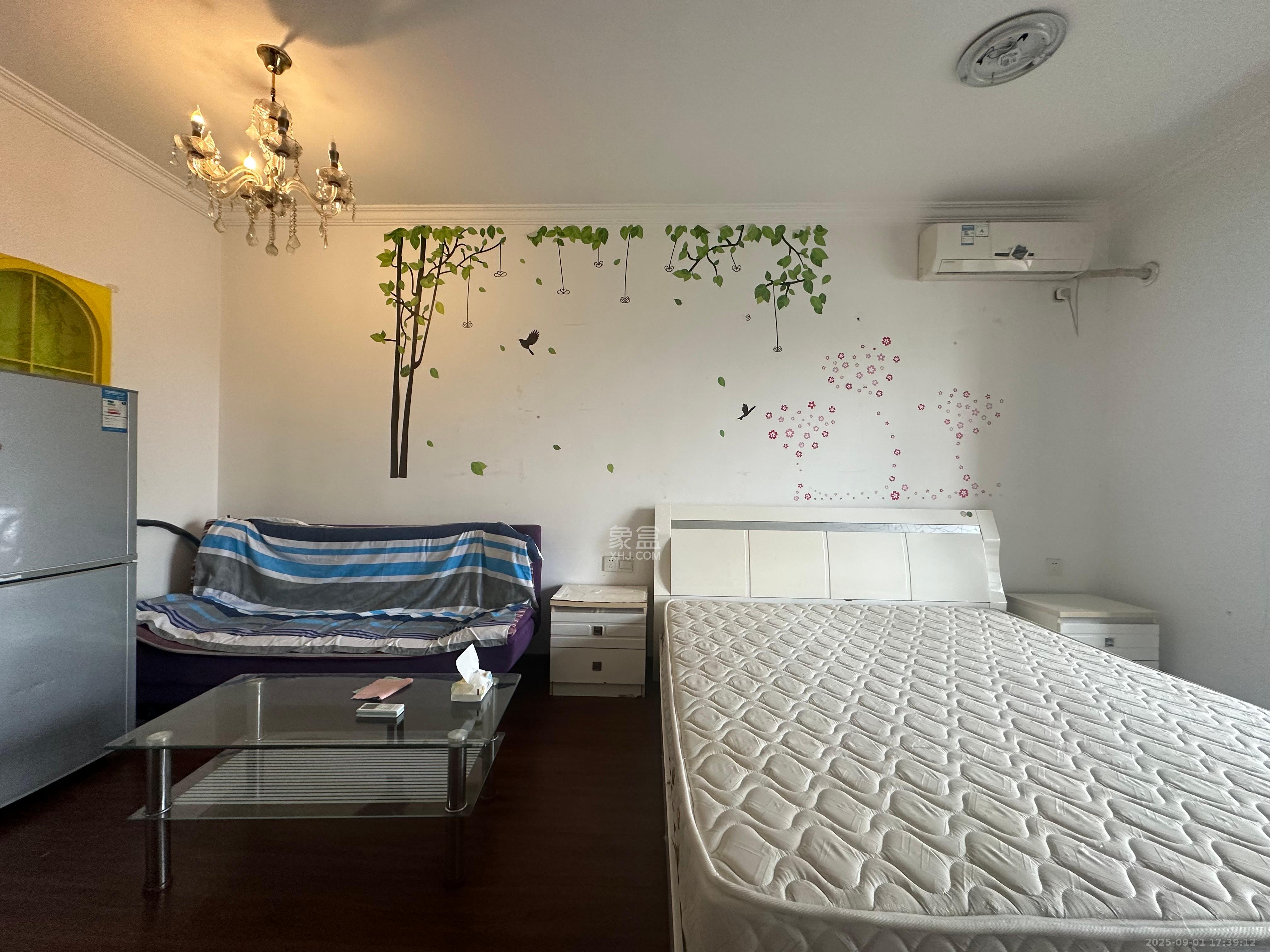 时代星城 1室1厅1卫 1000.0元/月 时代星城 1室1厅1卫 1000.0元/月室内图