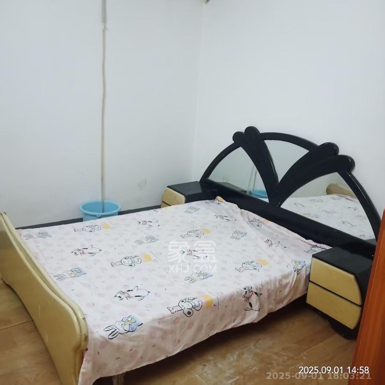 燕子岭散盘  3室1厅1卫    1800.0元/月室内图