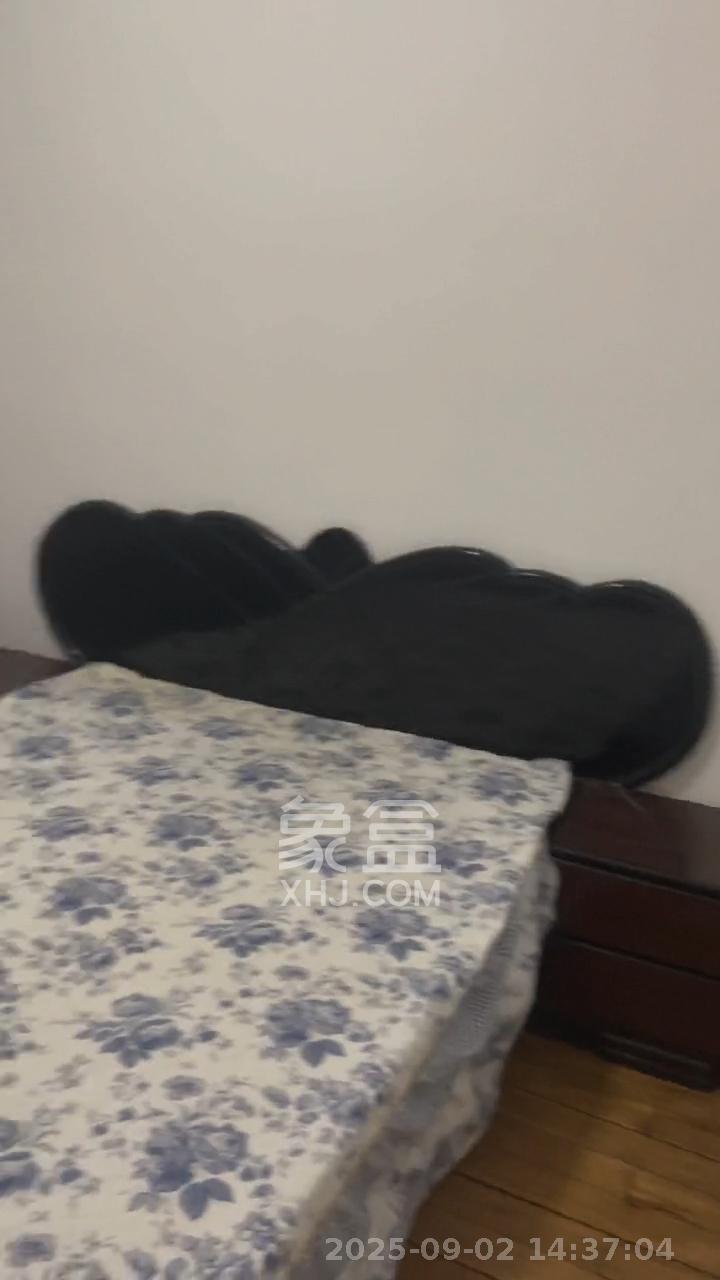 省政府五所 3室1厅1卫 2800.0元/月 省政府五所 3室1厅1卫 2800.0元/月室内图