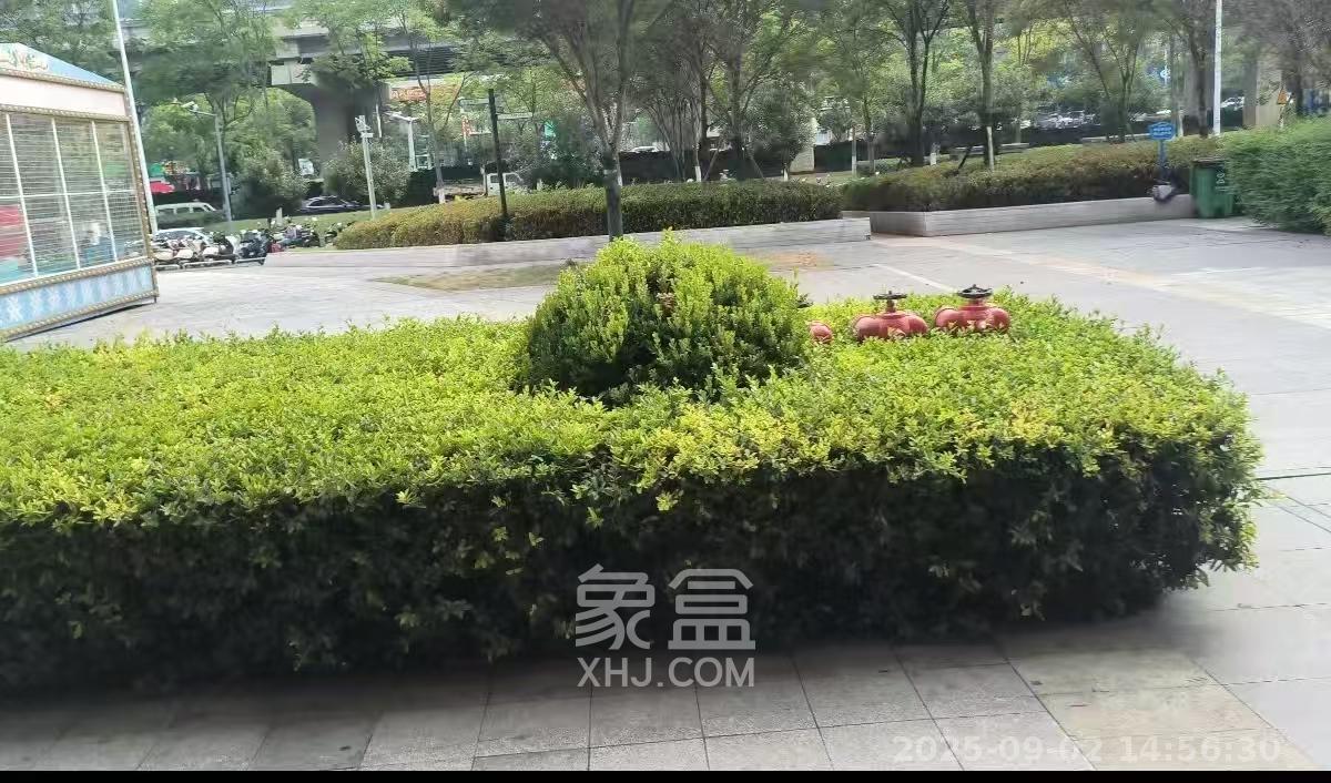 复地星光天地  1室1厅1卫   10500.00元/月室内图