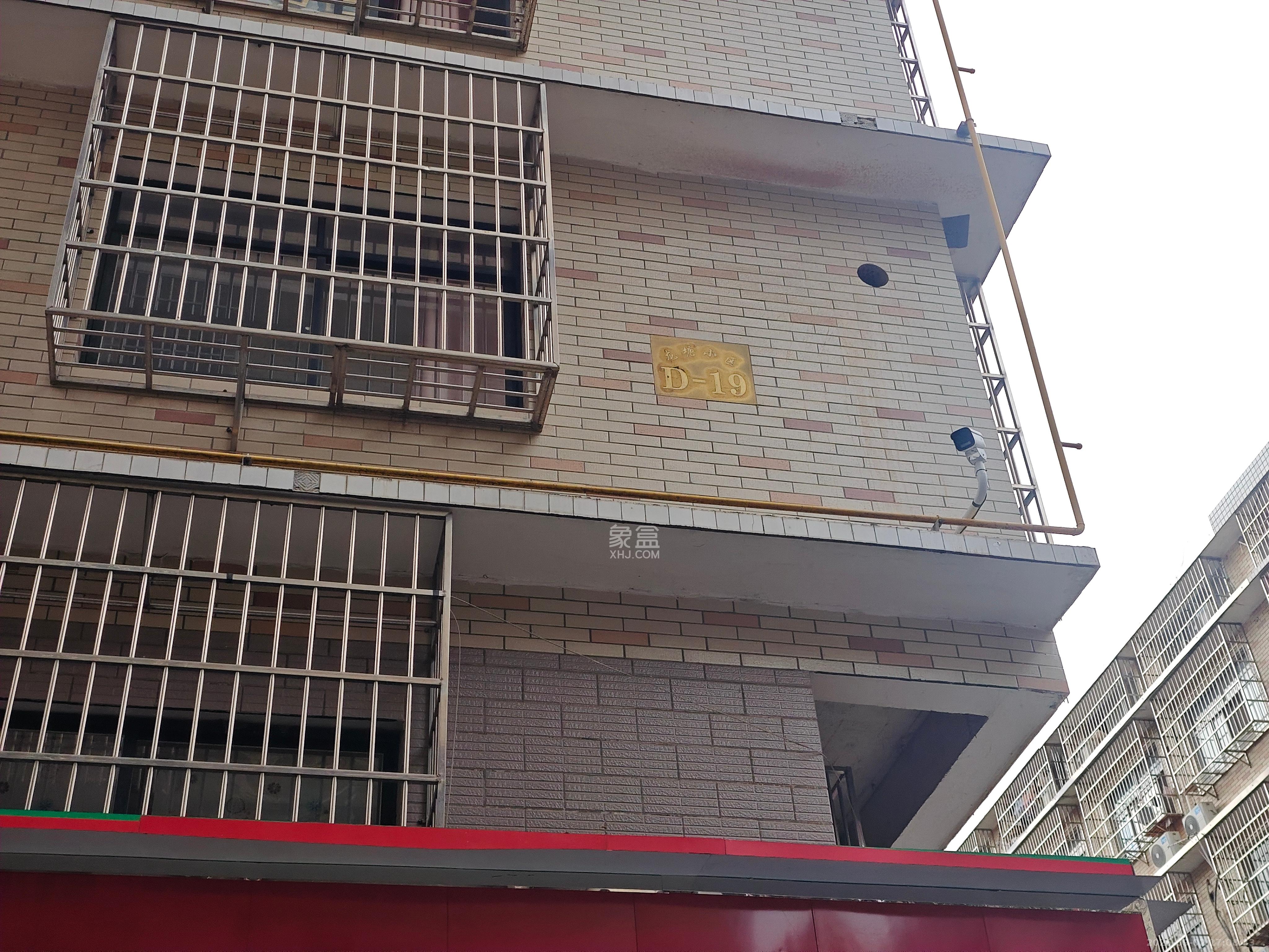 龙塘安置区（龙塘小区）  1室1厅0卫   3500.00元/月室内图