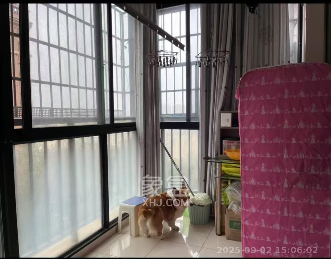 霞光山庄北苑 3室2厅2卫 1600.0元/月 霞光山庄北苑 3室2厅2卫 1600.0元/月室内图