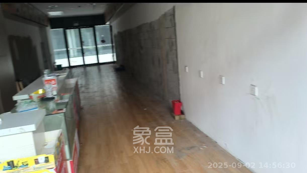 复地星光天地  1室1厅1卫   10500.00元/月室内图1