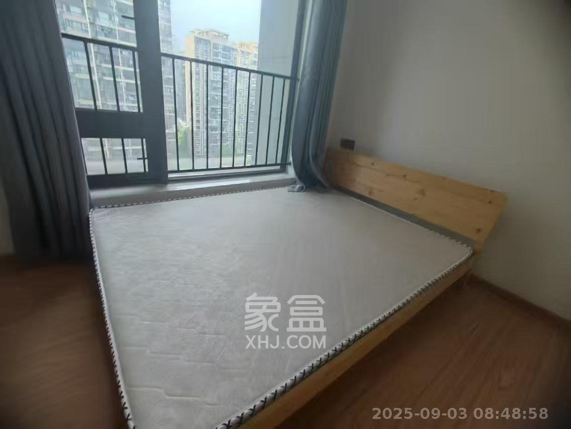 碧桂园城市之光  1室1厅1卫    1300.0元/月室内图