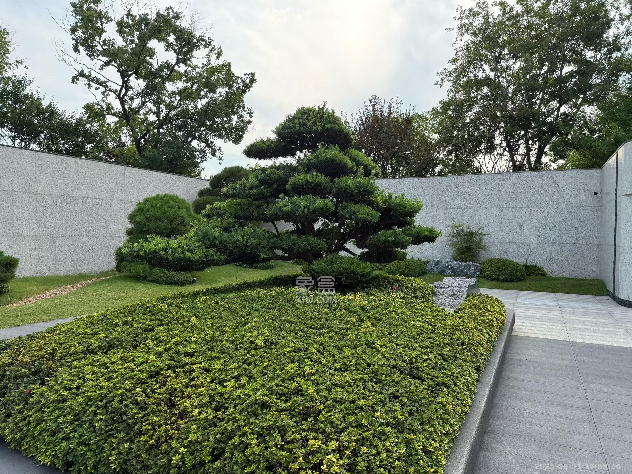 云集国际 1室1厅1卫 1500.0元/月 云集国际 1室1厅1卫 1500.0元/月室内图