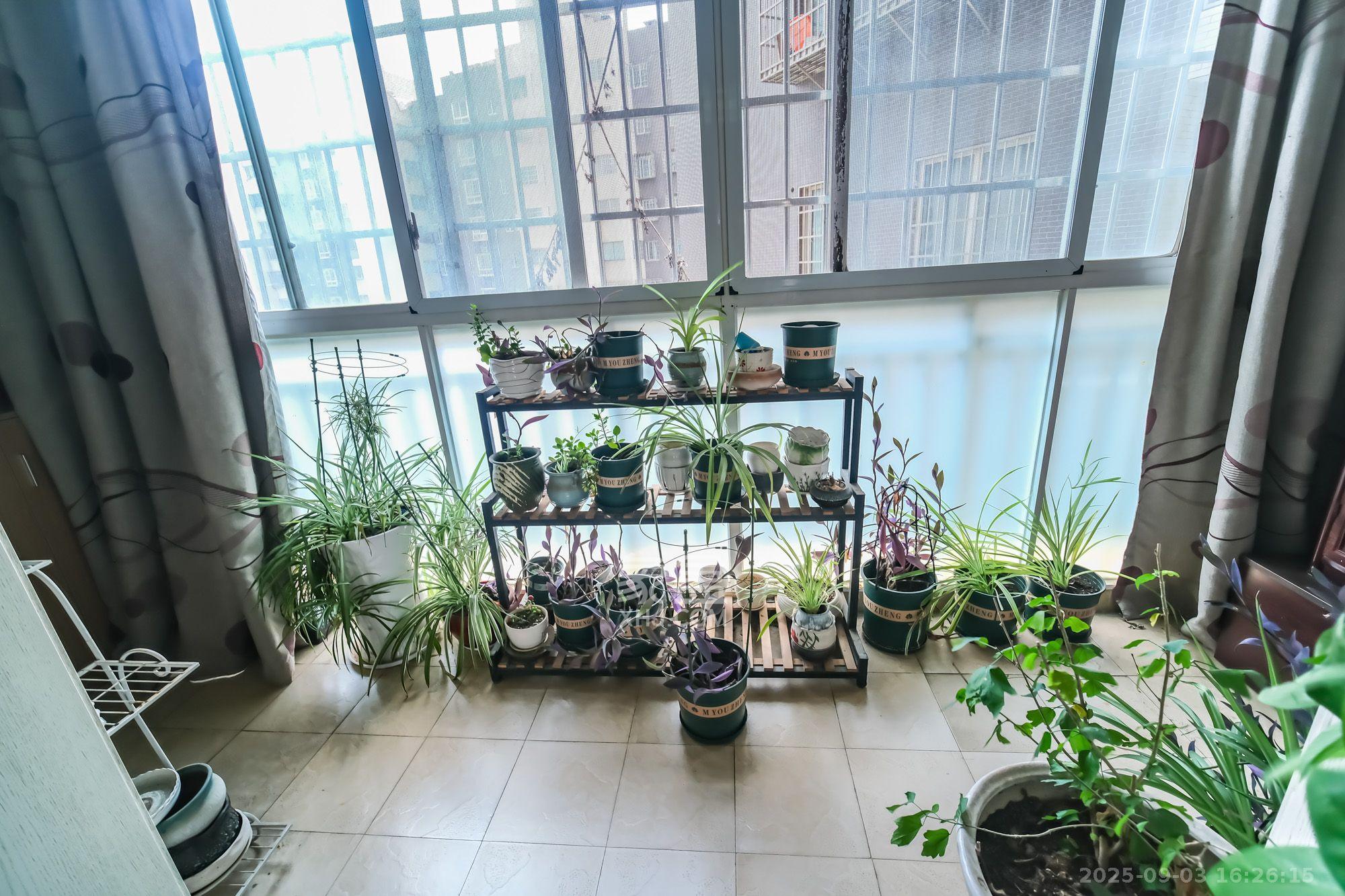 世景华庭  4室2厅2卫    2000.0元/月室内图