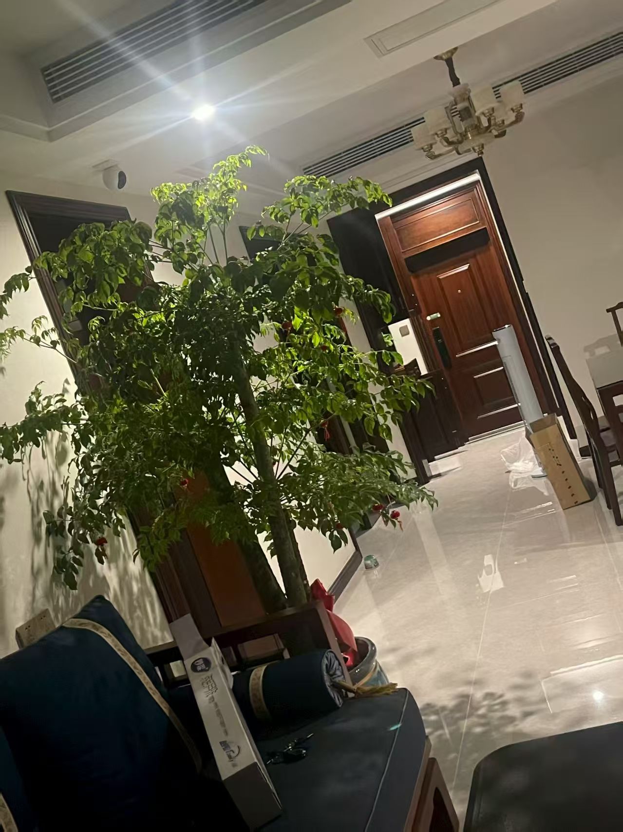 檀香山  4室2厅2卫    103.8万客厅