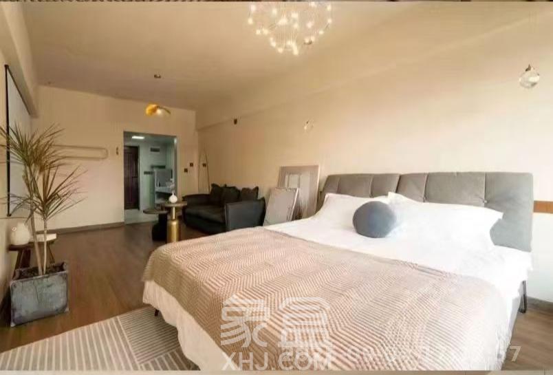 蚂蚁工房  1室1厅1卫   1800.00元/月室内图