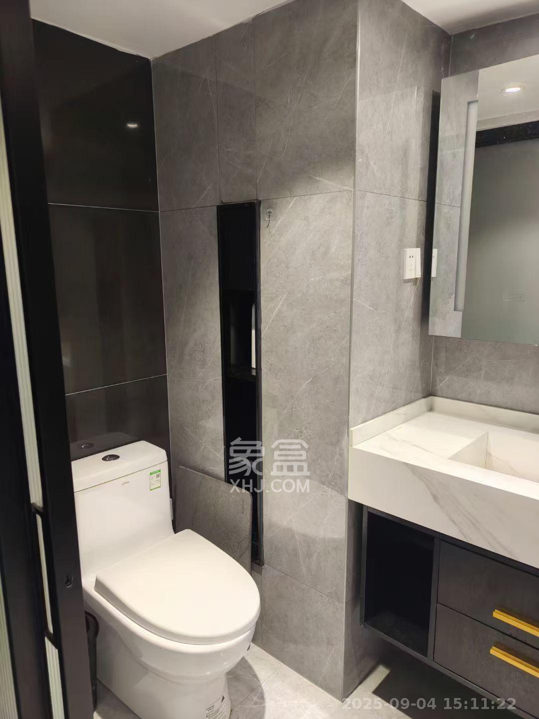 龙湖新壹城  1室0厅0卫    2900.0元/月室内图