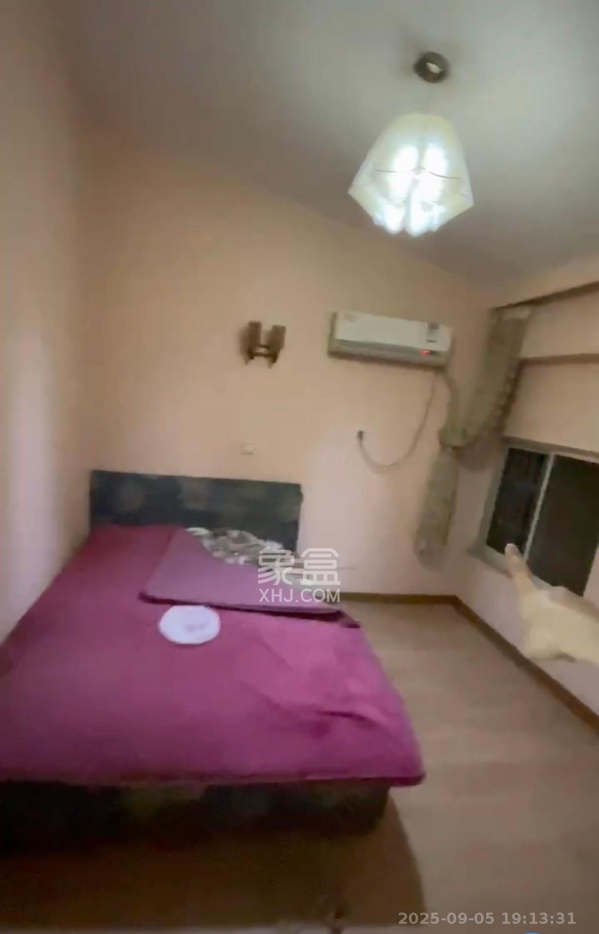 中星苑 2室2厅1卫 1200.0元/月 中星苑 2室2厅1卫 1200.0元/月室内图