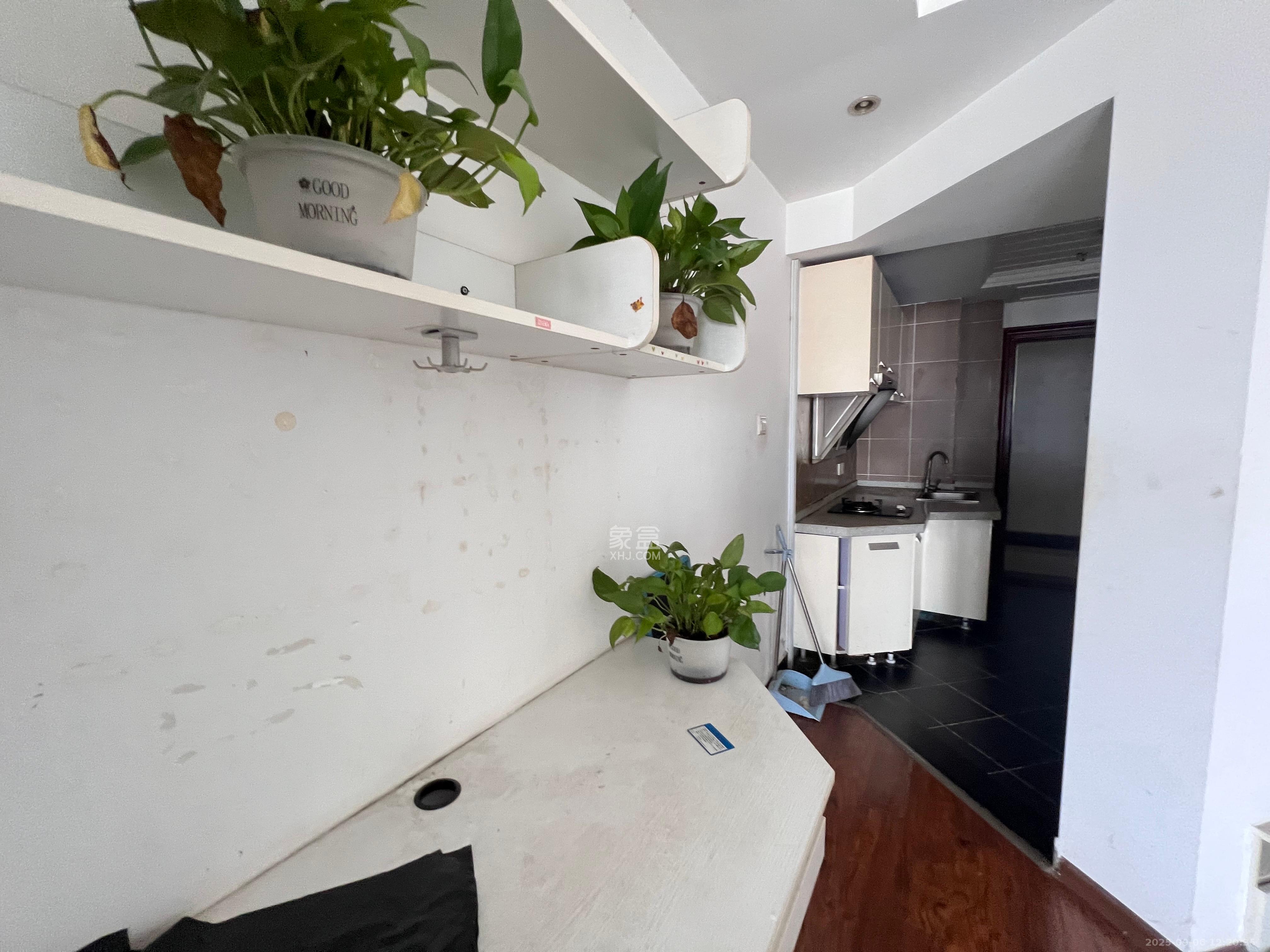 时代星城 1室1厅1卫 1000.0元/月 时代星城 1室1厅1卫 1000.0元/月室内图