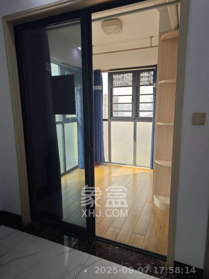 中南红领邦（红星嘉和苑）  1室1厅1卫    1800.0元/月室内图