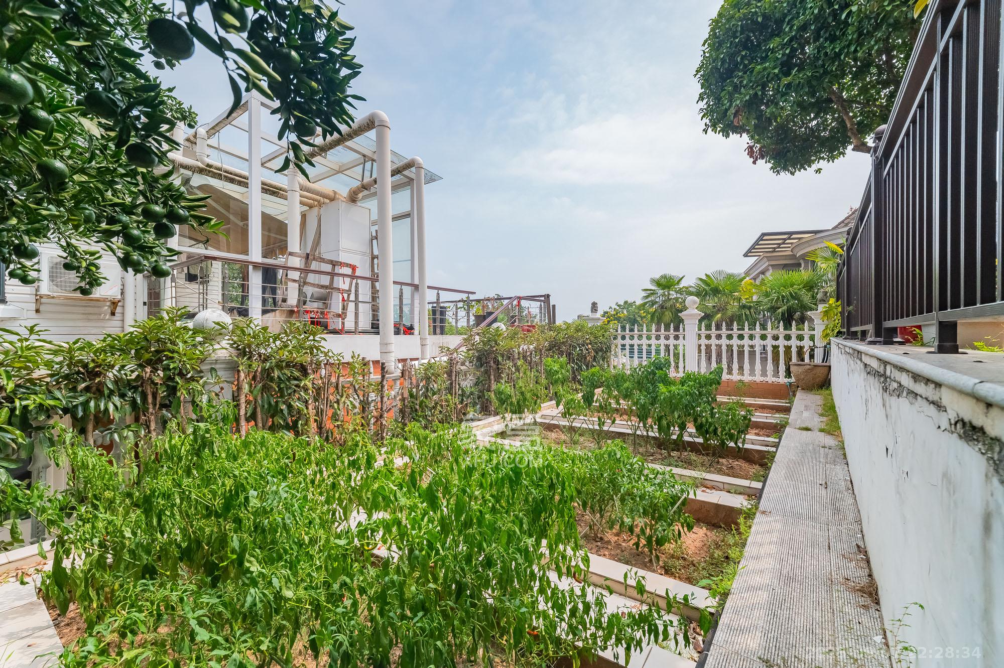 山水芙蓉国际新城  7室2厅3卫    598.0万其他