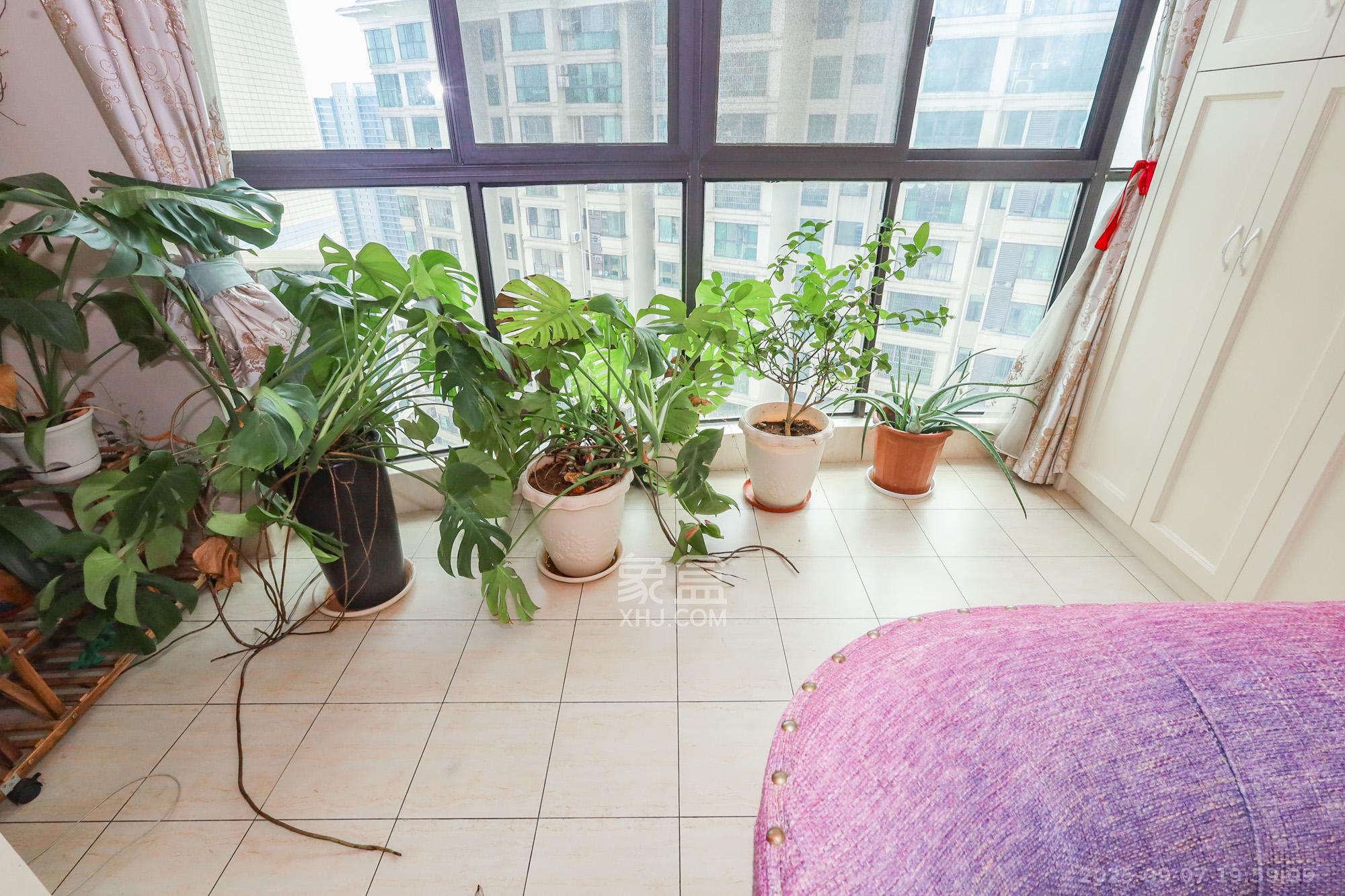 滨江一号(丰泰花园) 3室2厅2卫 129.0万 滨江一号(丰泰花园) 3室2厅2卫 129.0万阳台