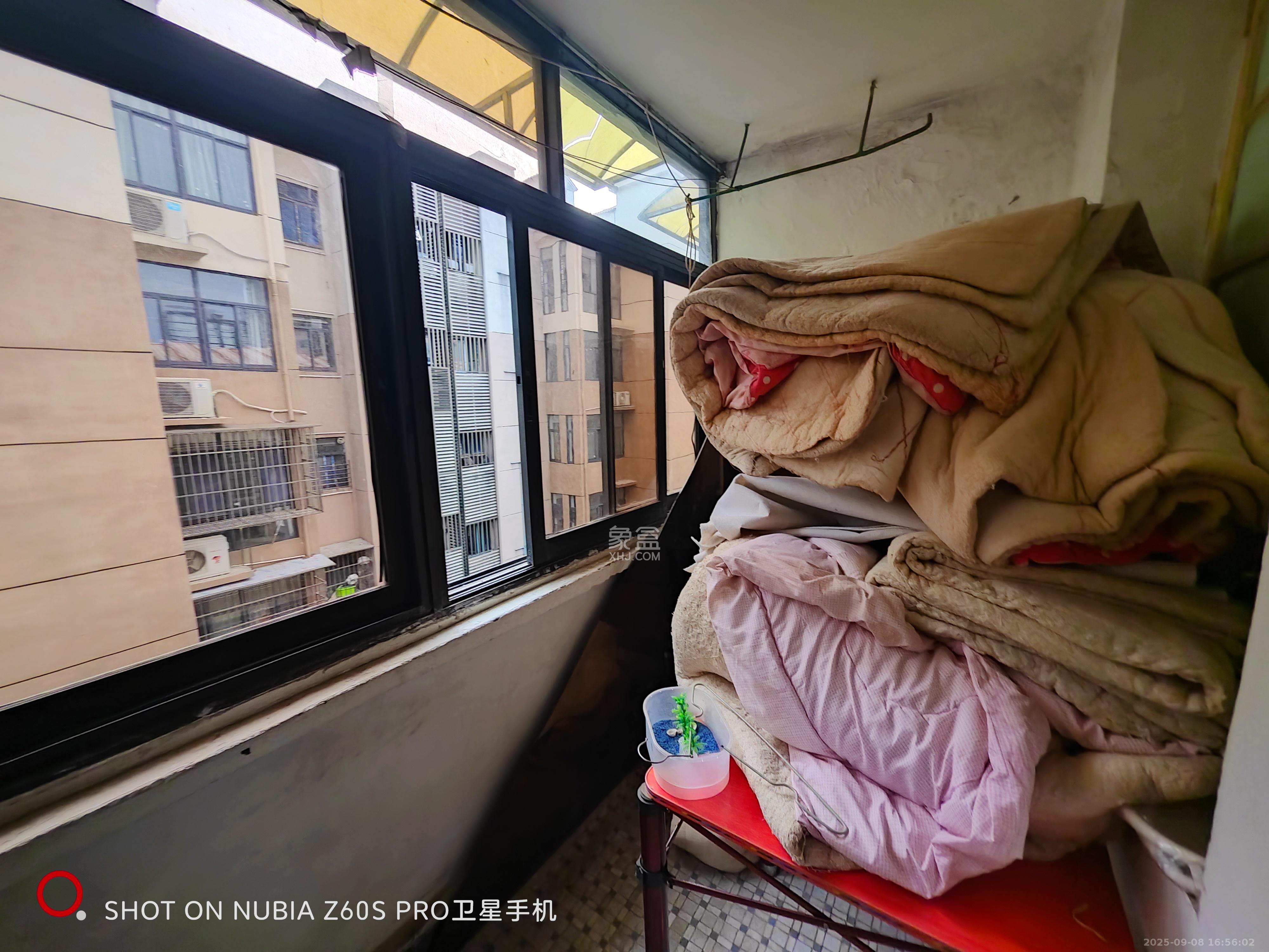 文艺新村  1室1厅1卫    1300.0元/月室内图