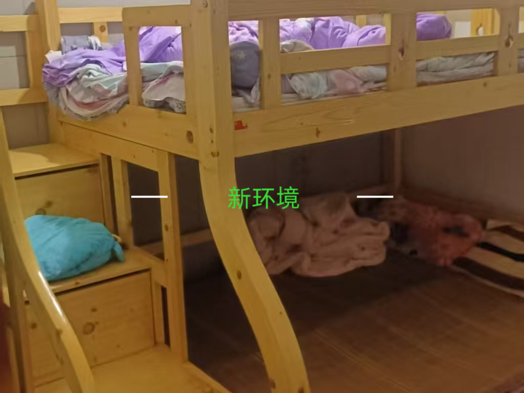 亘立龙凤小区  3室2厅1卫   35.00万客厅
