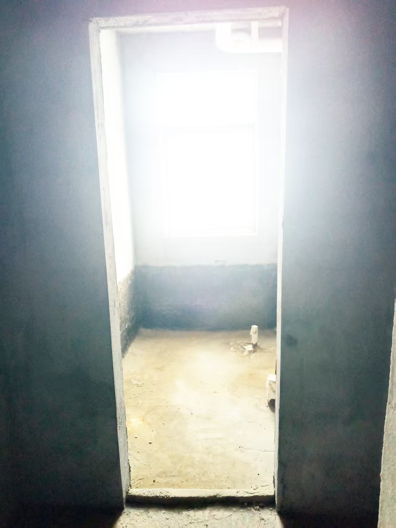 龙洲馨苑  3室2厅2卫    77.8万室内图