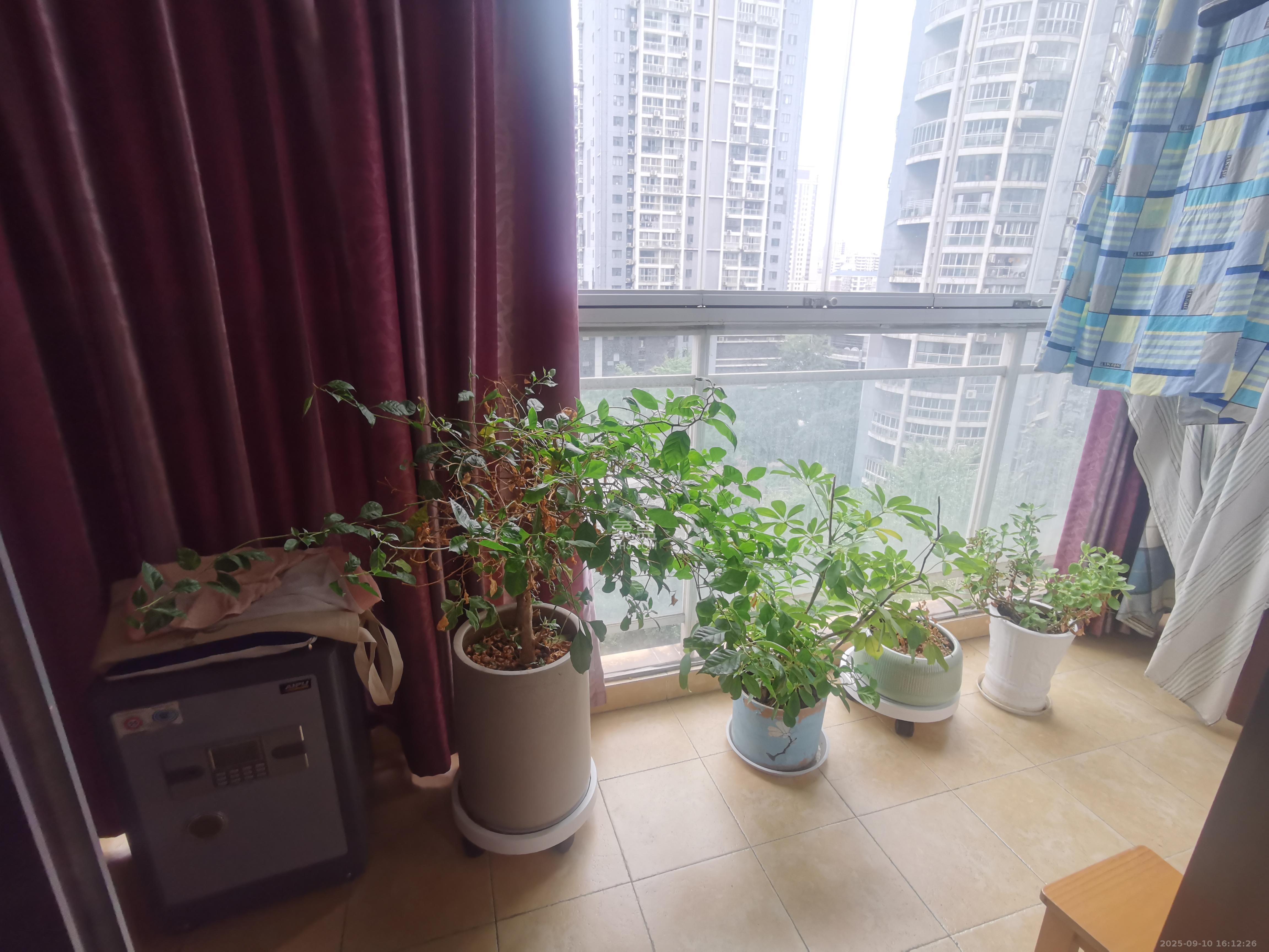 美林银谷  4室2厅2卫    3800.0元/月 美林银谷  4室2厅2卫    3800.0元/月室内图