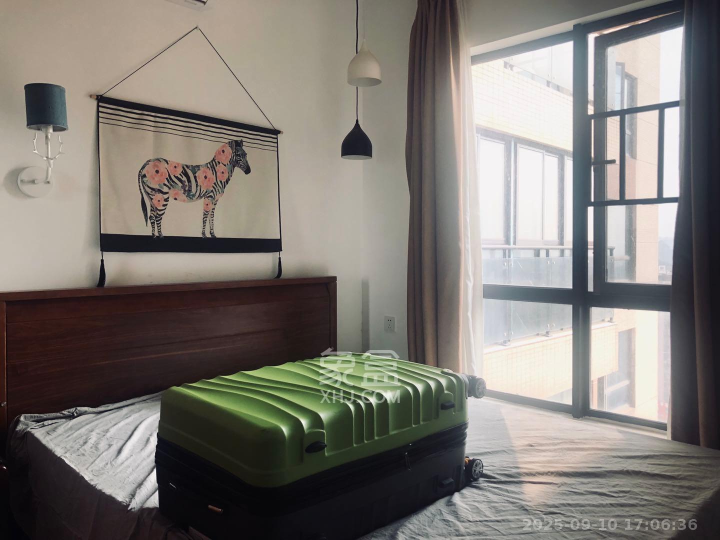 达美D6区 3室1厅1卫 2500.0元/月 达美D6区 3室1厅1卫 2500.0元/月室内图