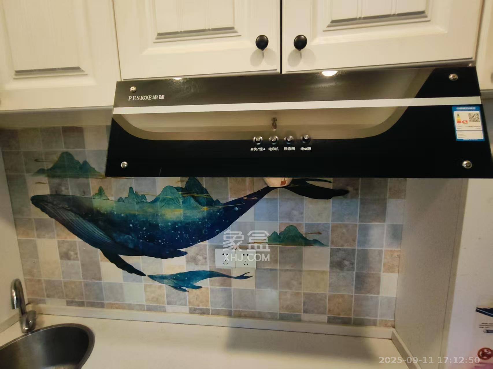 金科时代中心 1室1厅1卫 1100.0元/月 金科时代中心 1室1厅1卫 1100.0元/月室内图