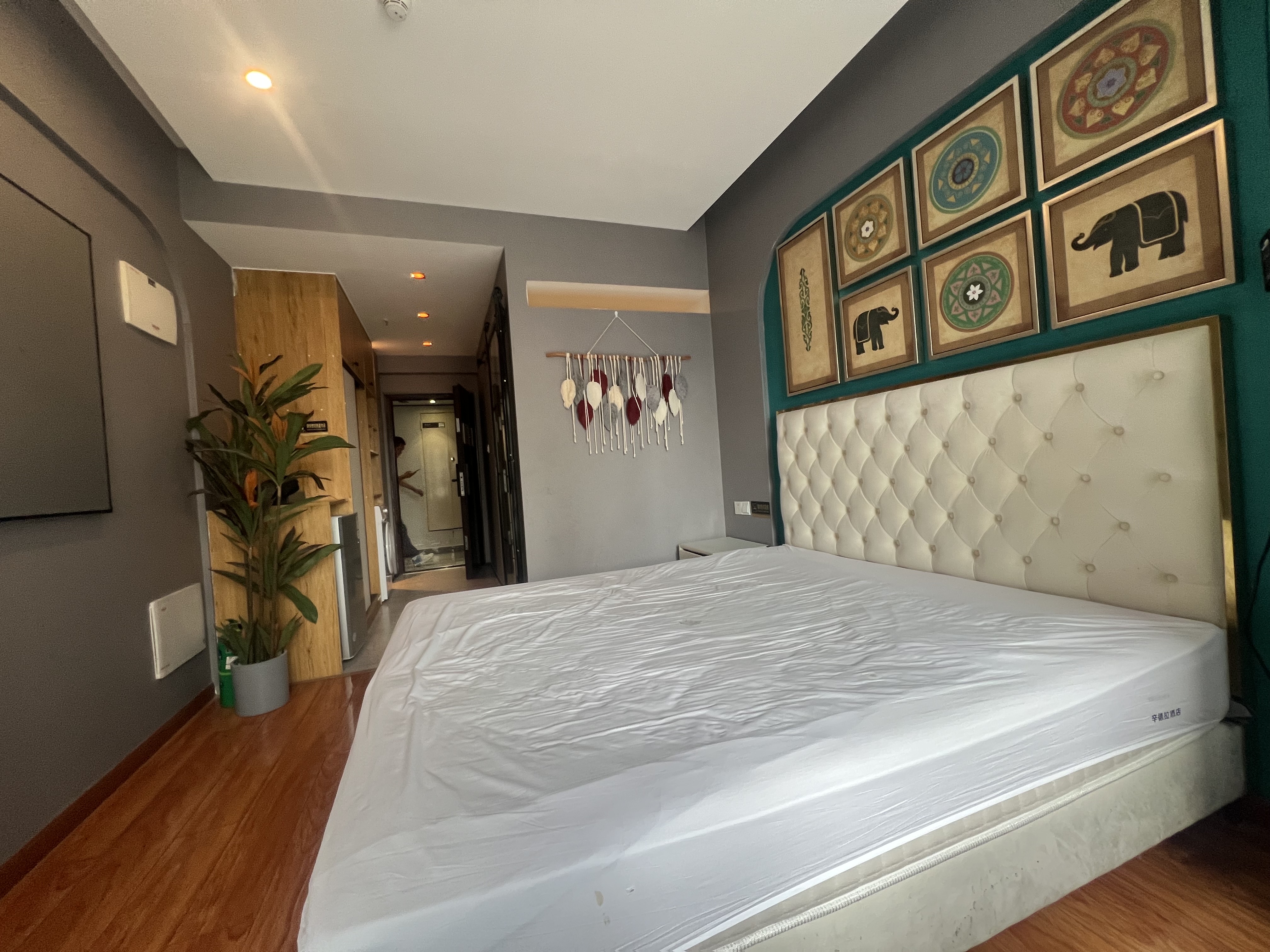 阳光城檀悦  1室1厅1卫    1700.0元/月户型图