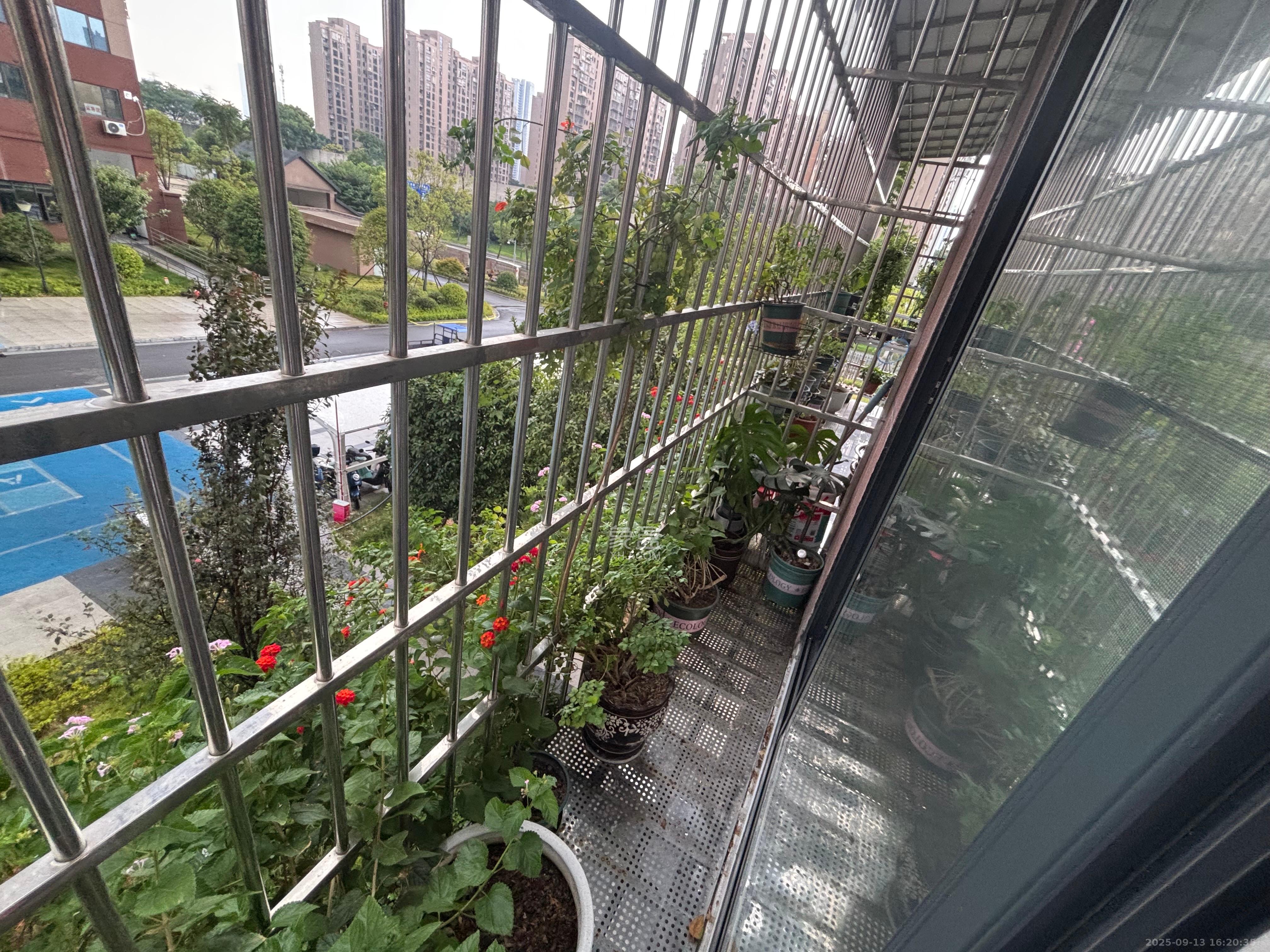 金塘家园 2室1厅1卫 2800.0元/月 金塘家园 2室1厅1卫 2800.0元/月室内图