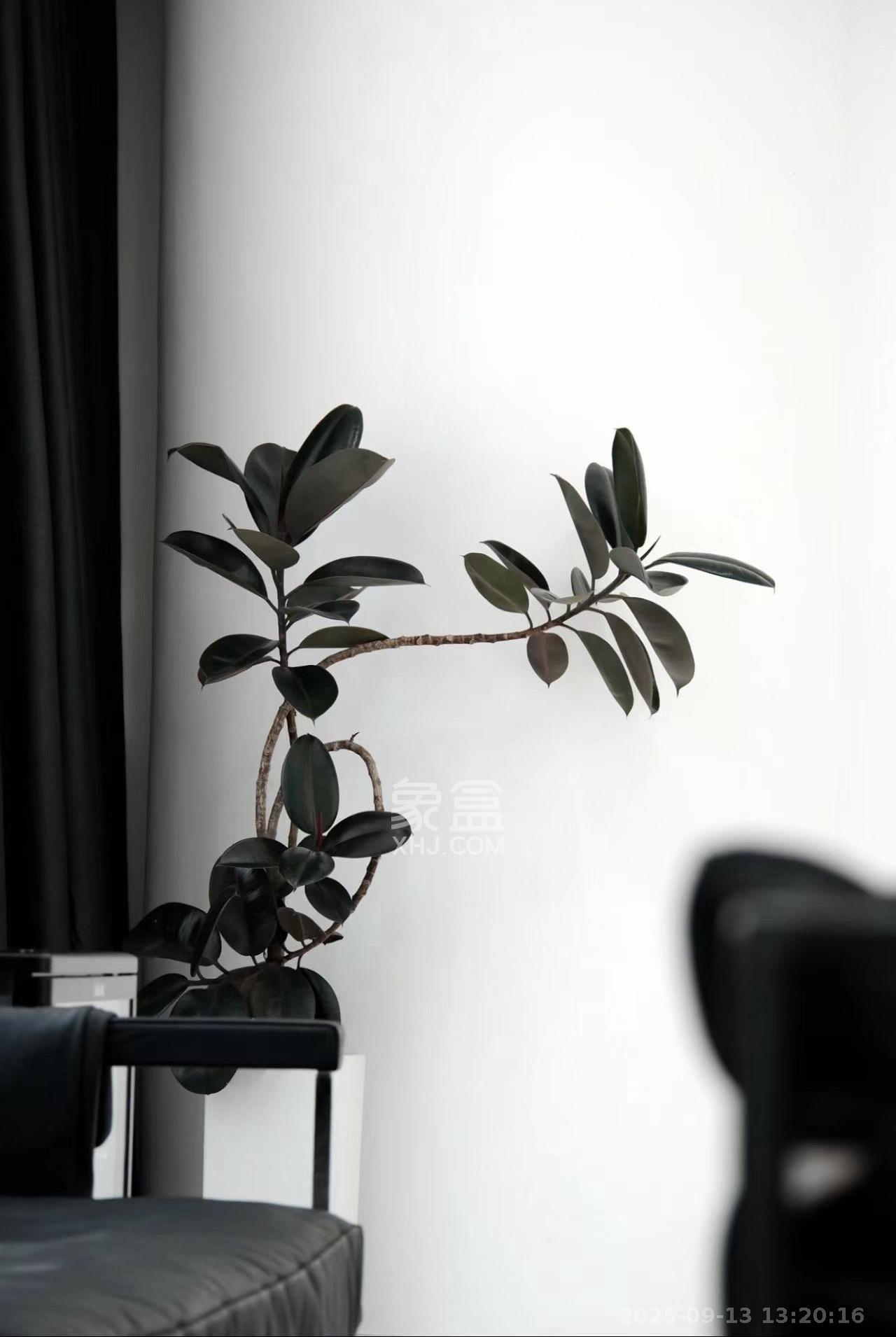 世茂铂曼  1室1厅1卫    5000.0元/月室内图