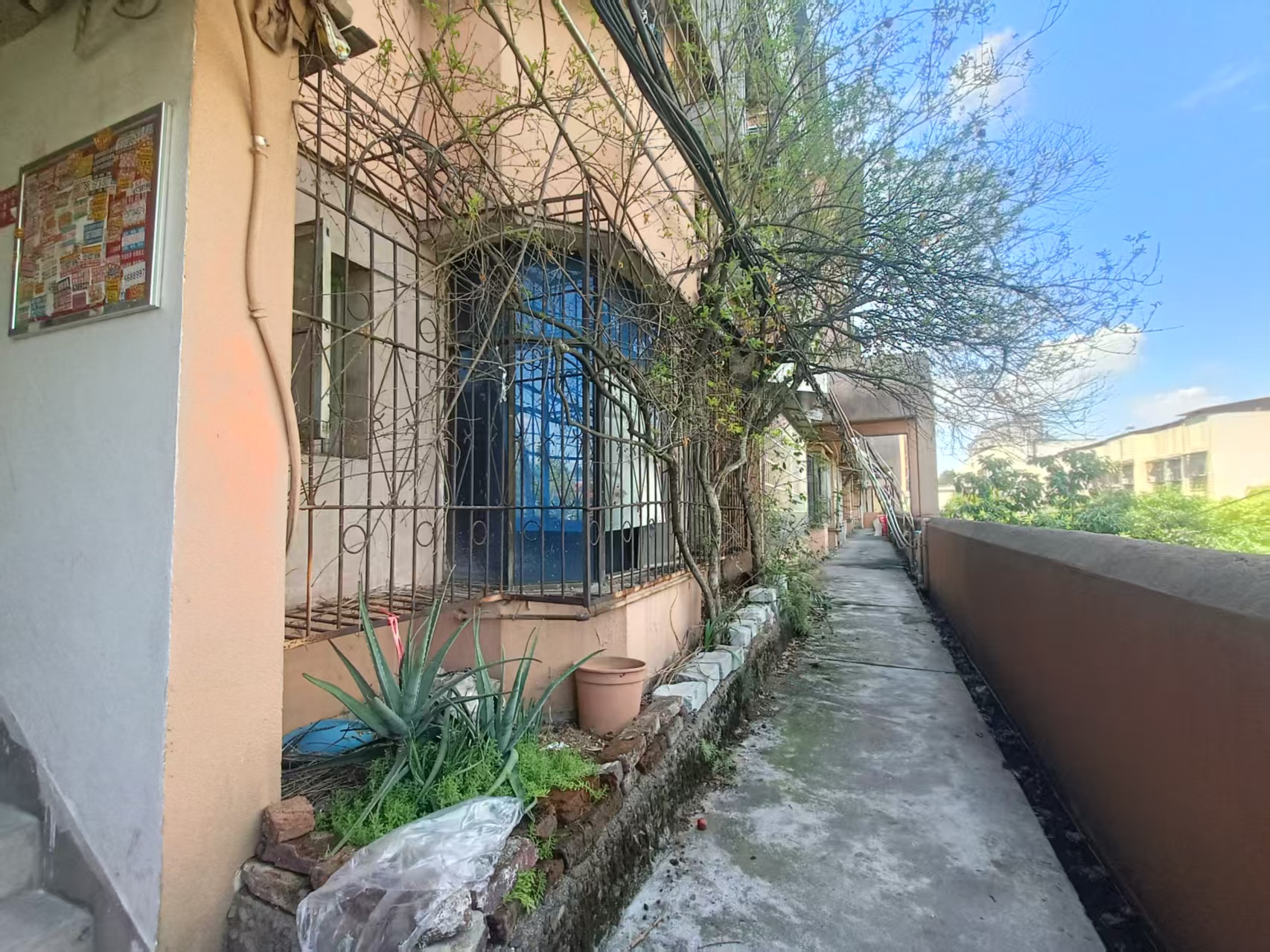 五金百货小区 1室1厅1卫 18.0万 五金百货小区 1室1厅1卫 18.0万客厅