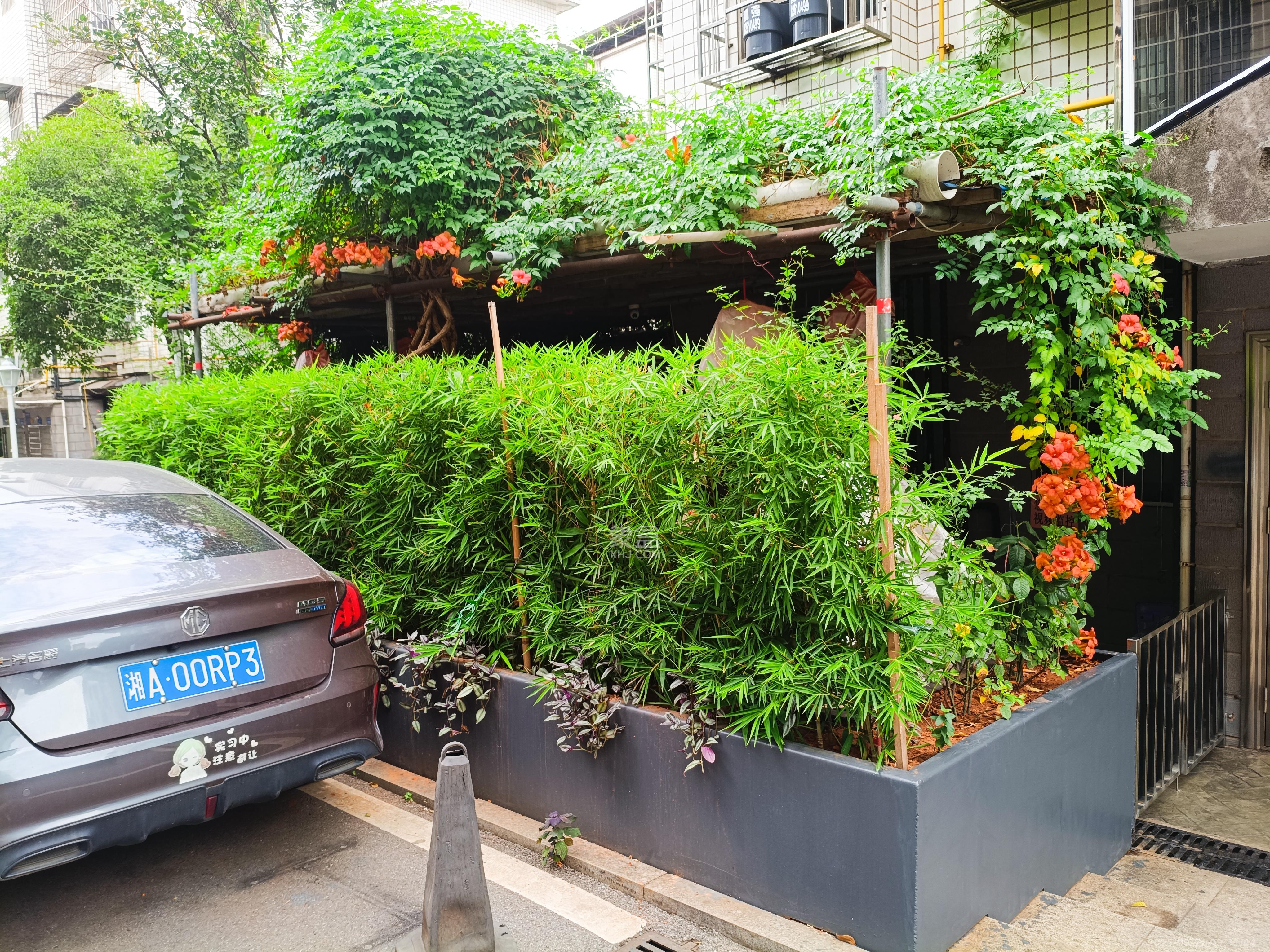 青园小区（青园社区安置房）  2室1厅1卫    1700.0元/月室内图