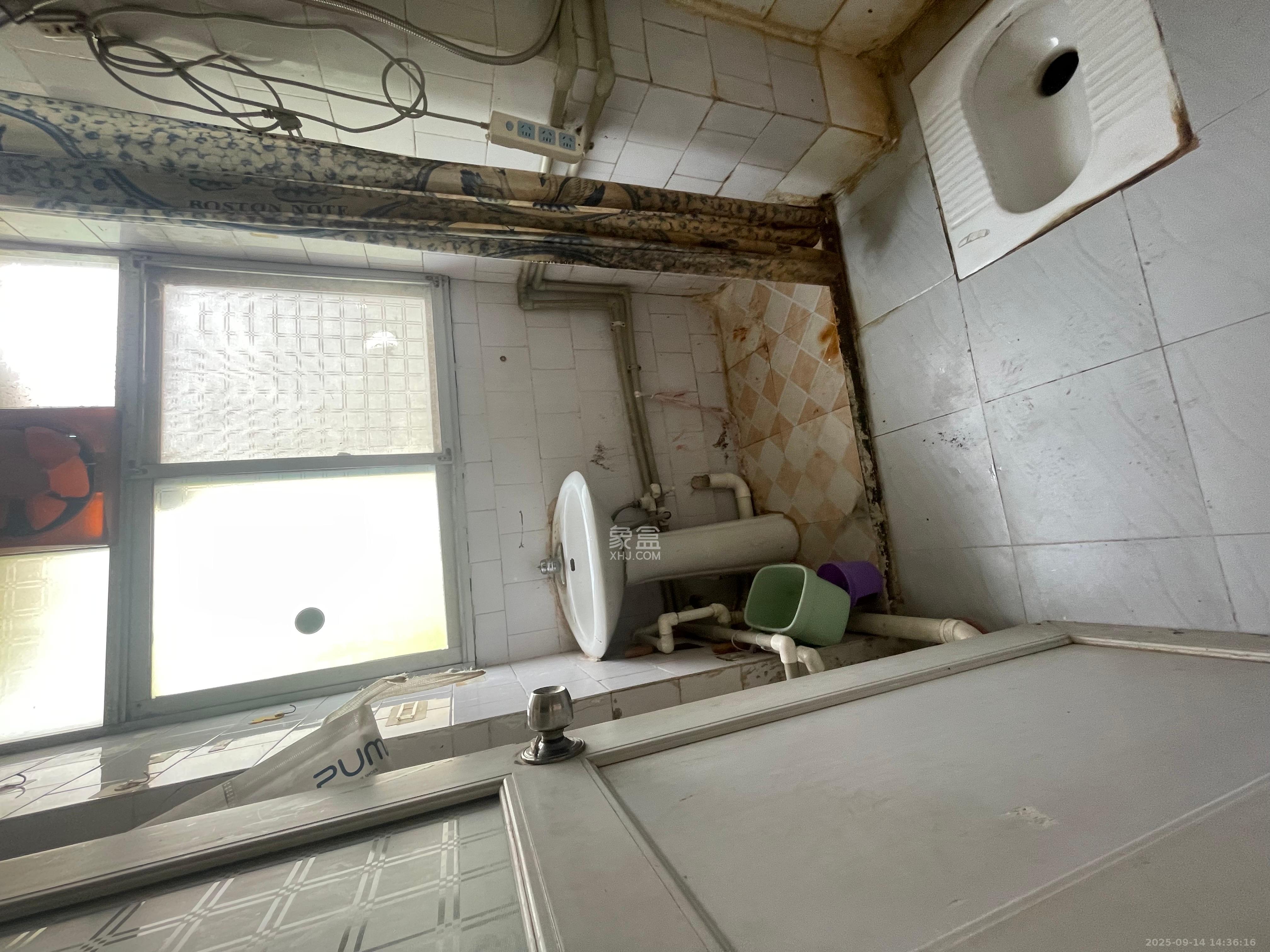 向东园社区(国税局宿舍)  2室1厅1卫    1400.0元/月室内图