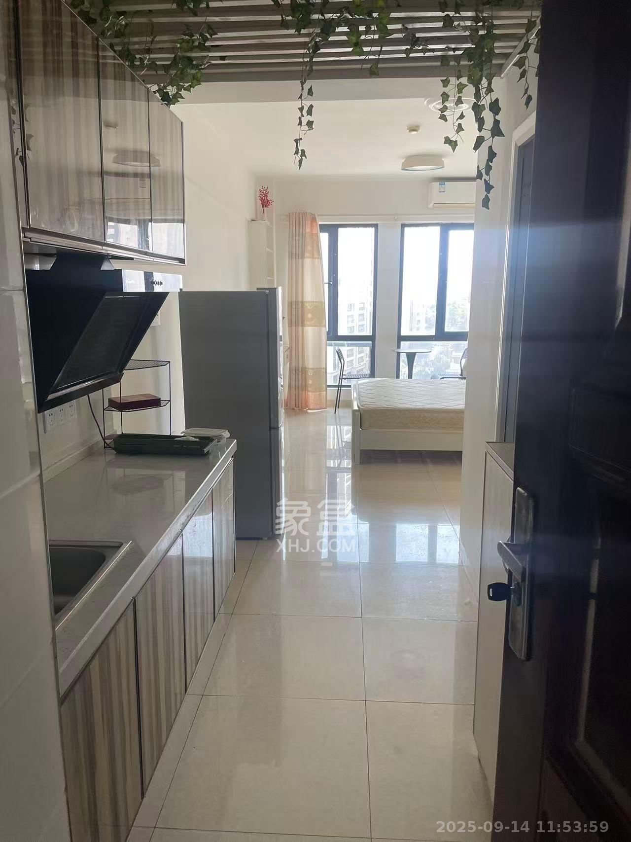 鑫远微中心 1室1厅1卫 1300.0元/月 鑫远微中心 1室1厅1卫 1300.0元/月室内图