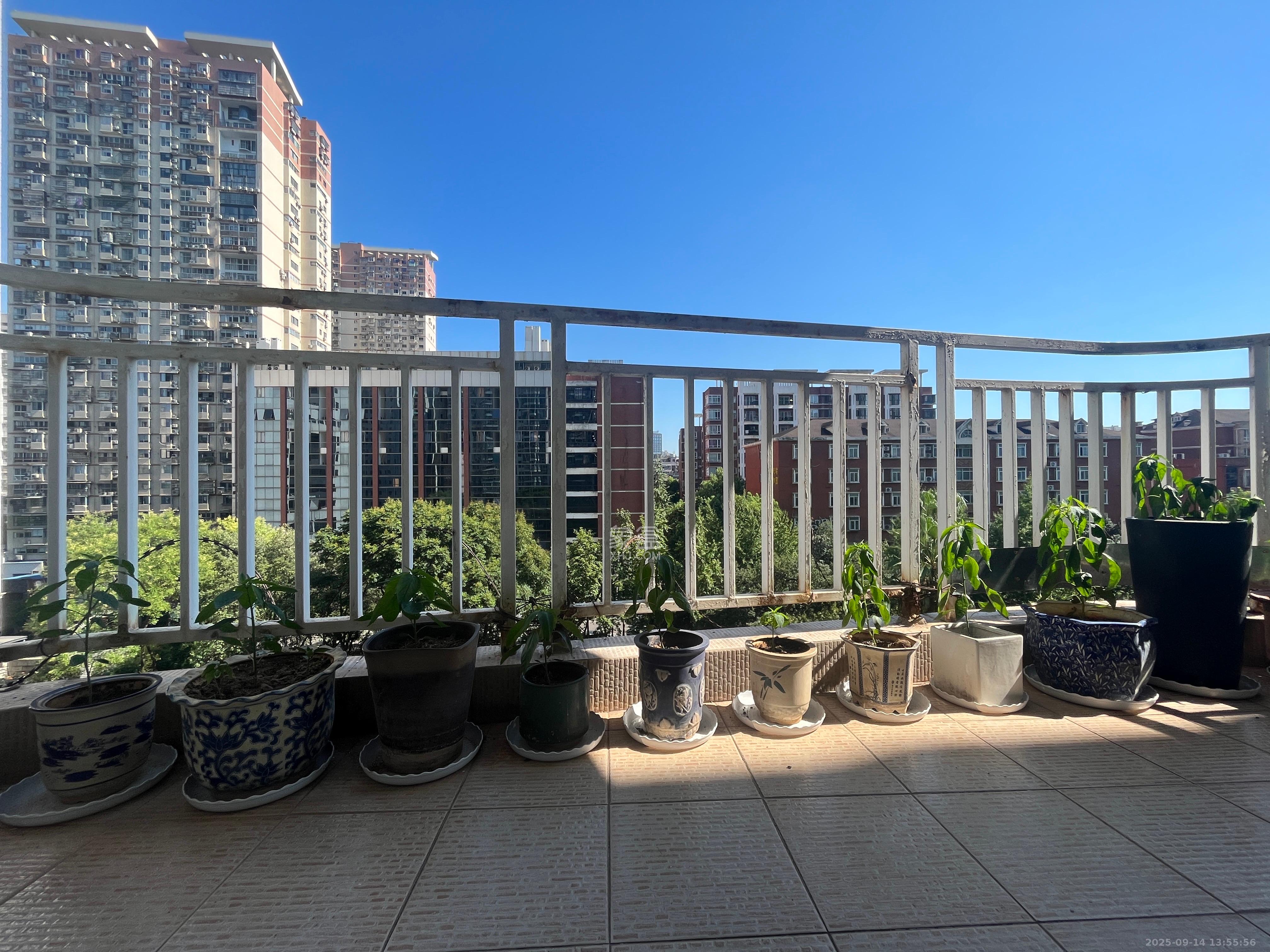 一心花苑  3室2厅2卫    2600.0元/月 一心花苑  3室2厅2卫    2600.0元/月