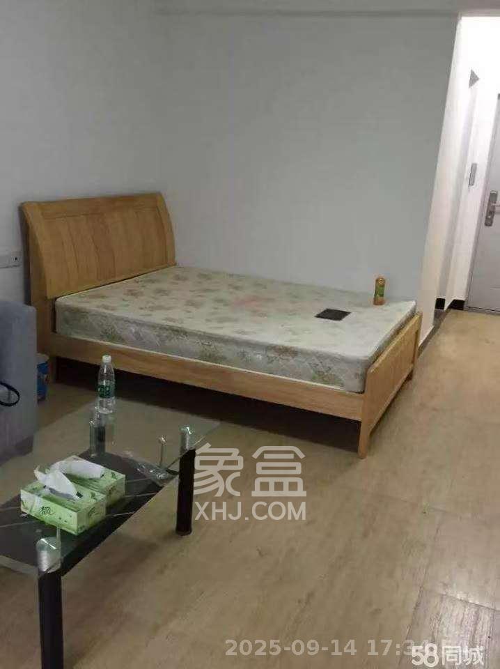怡海星城  1室1厅1卫   1100.00元/月