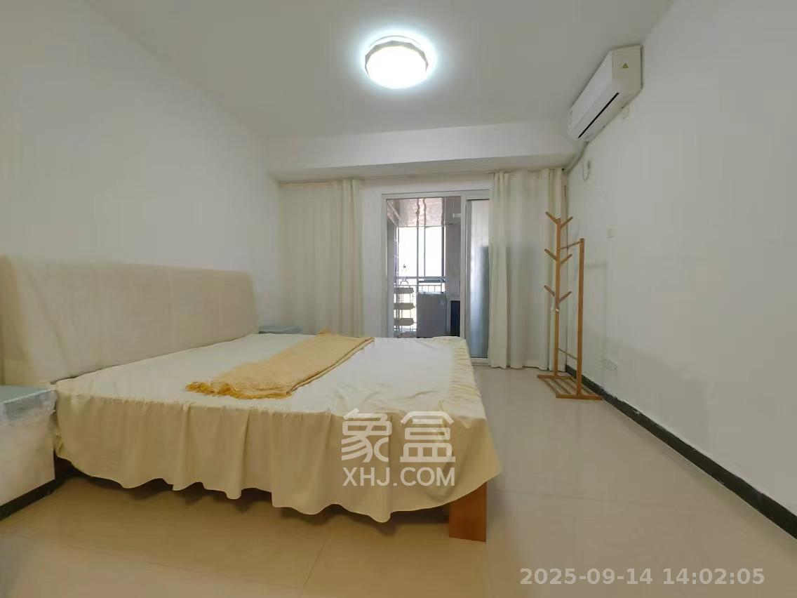 东一国际  1室1厅1卫   1800.00元/月