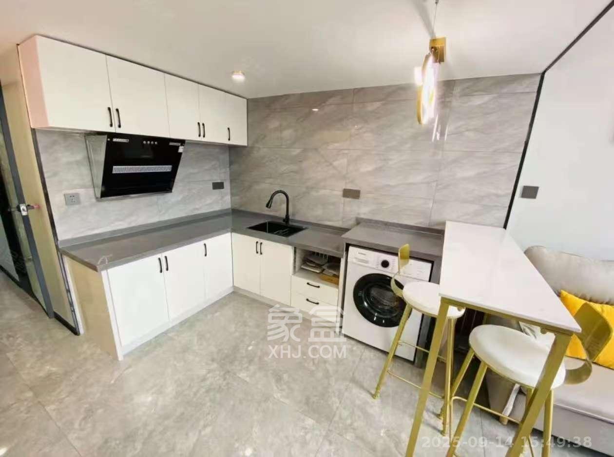 龙湖新壹城  1室1厅1卫    2300.0元/月室内图