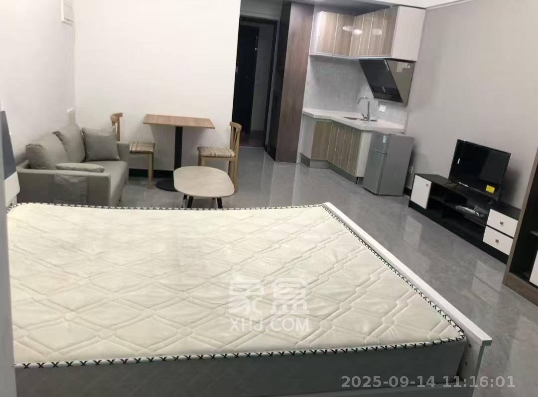 金科时代中心  1室0厅0卫   1400.00元/月室内图
