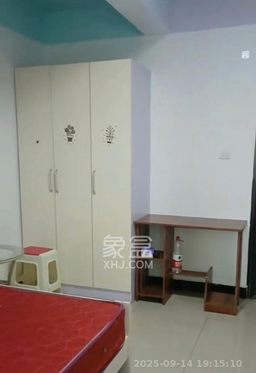 高桥现代商贸城 1室1厅1卫 1100.0元/月 高桥现代商贸城 1室1厅1卫 1100.0元/月室内图