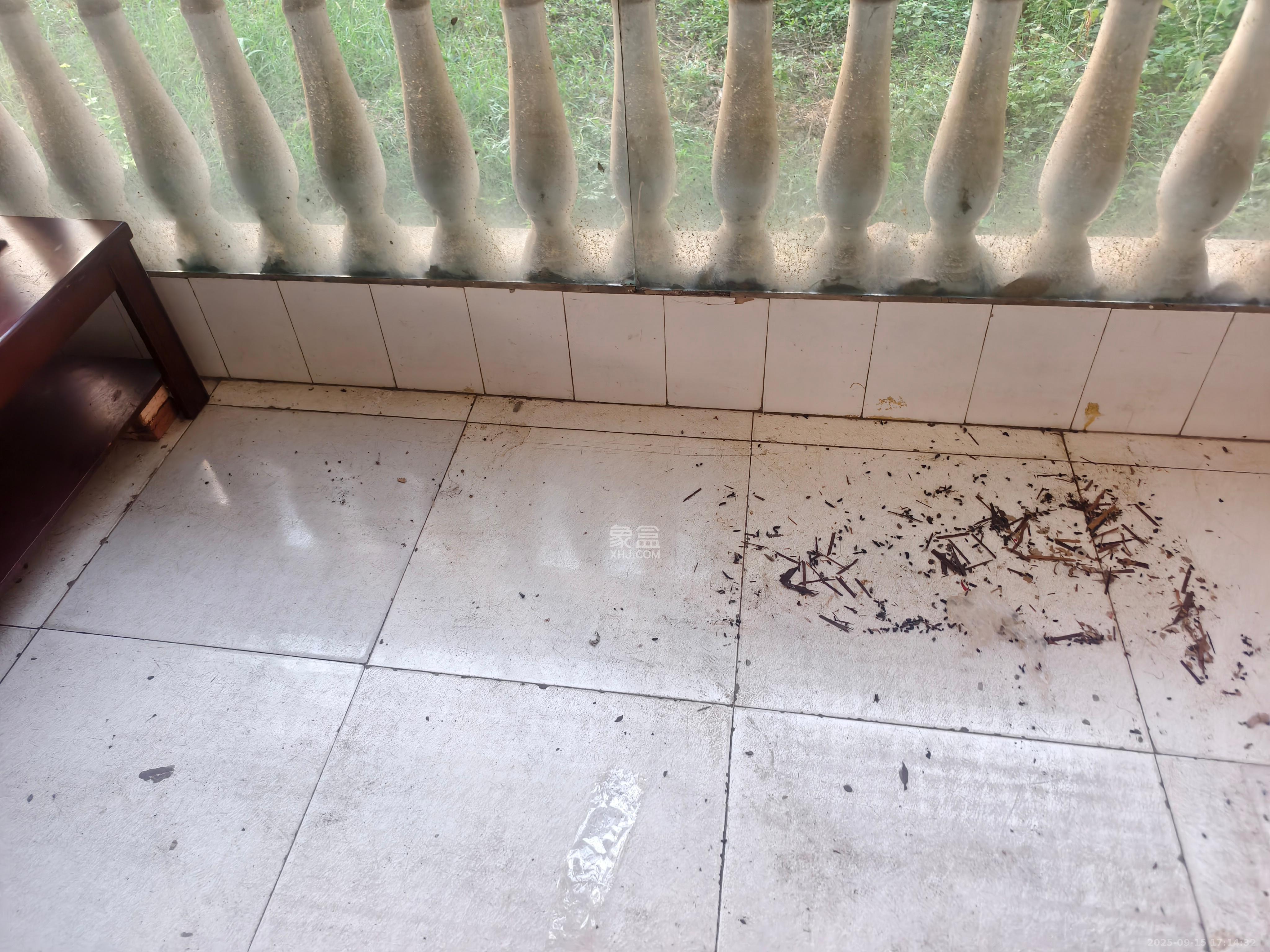 江南公寓 3室2厅1卫 1300.0元/月 江南公寓 3室2厅1卫 1300.0元/月室内图