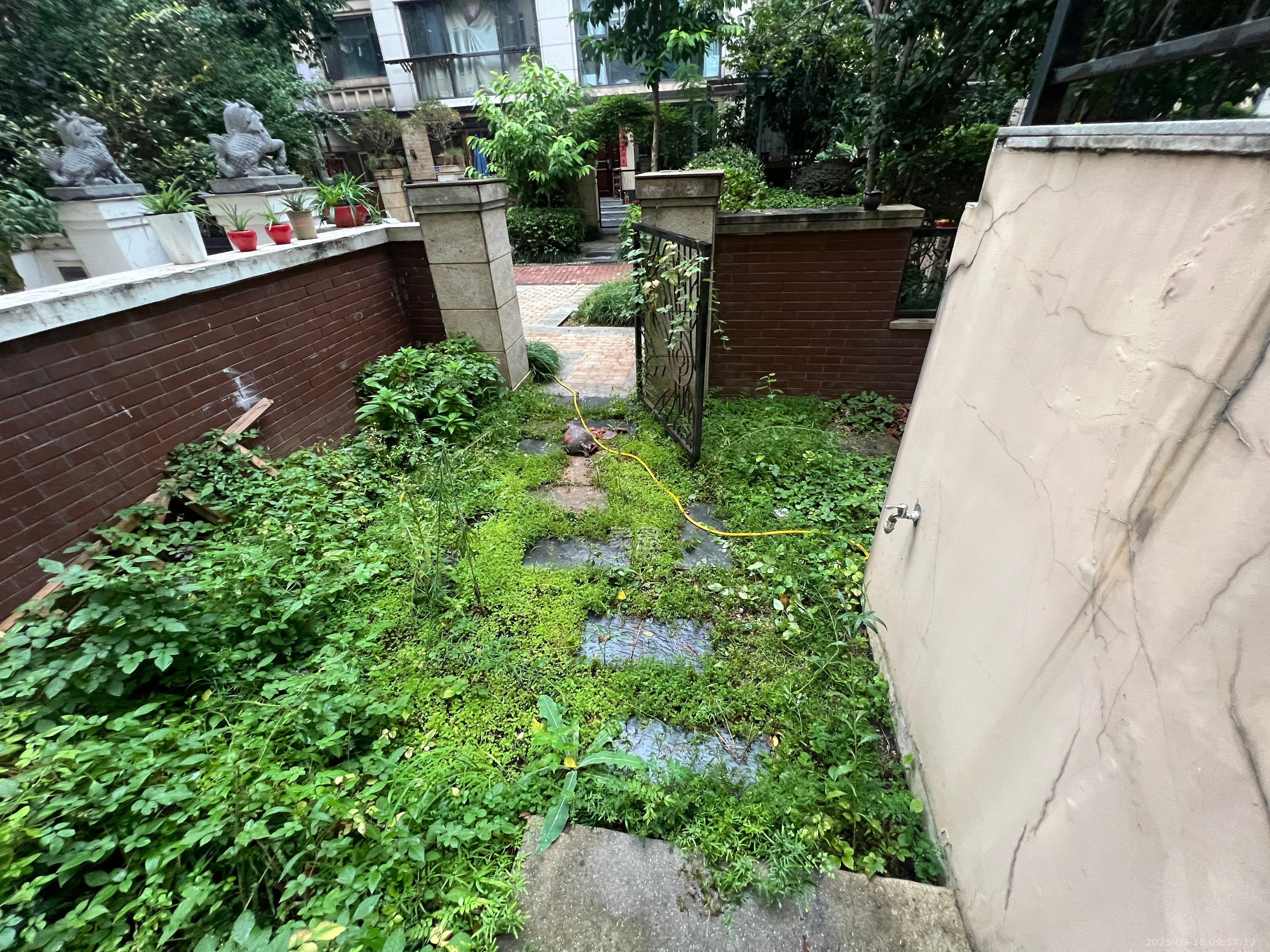 世茂铂翠湾二期  3室2厅1卫    3500.0元/月室内图