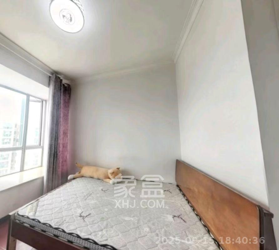 新城新世界一二三期  3室2厅1卫    2500.0元/月室内图