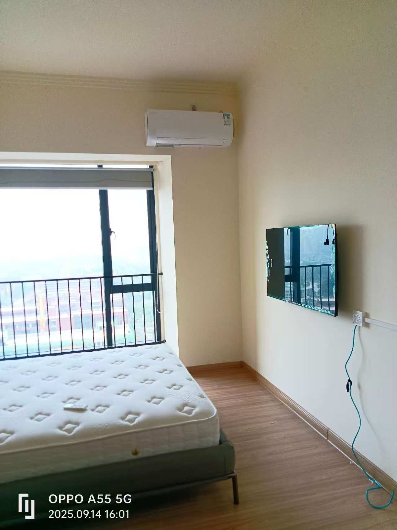 碧桂园壹中心  1室1厅1卫    1100.0元/月室内图1