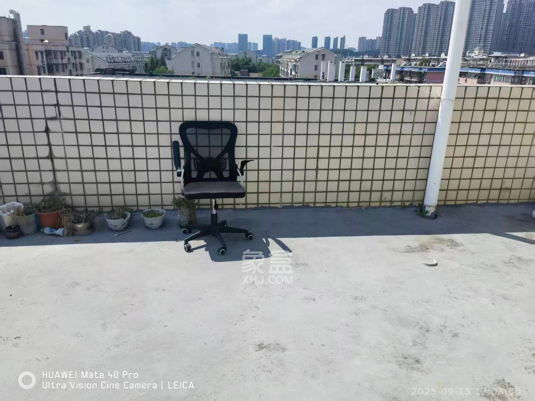 石岭小区A区 2室1厅1卫 1100.0元/月 石岭小区A区 2室1厅1卫 1100.0元/月室内图