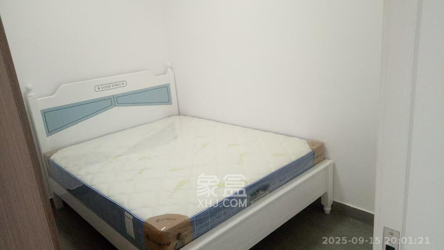 中南国际眼镜城(中伟商业中心) 1室0厅0卫 1700.0元/月 中南国际眼镜城(中伟商业中心) 1室0厅0卫 1700.0元/月室内图