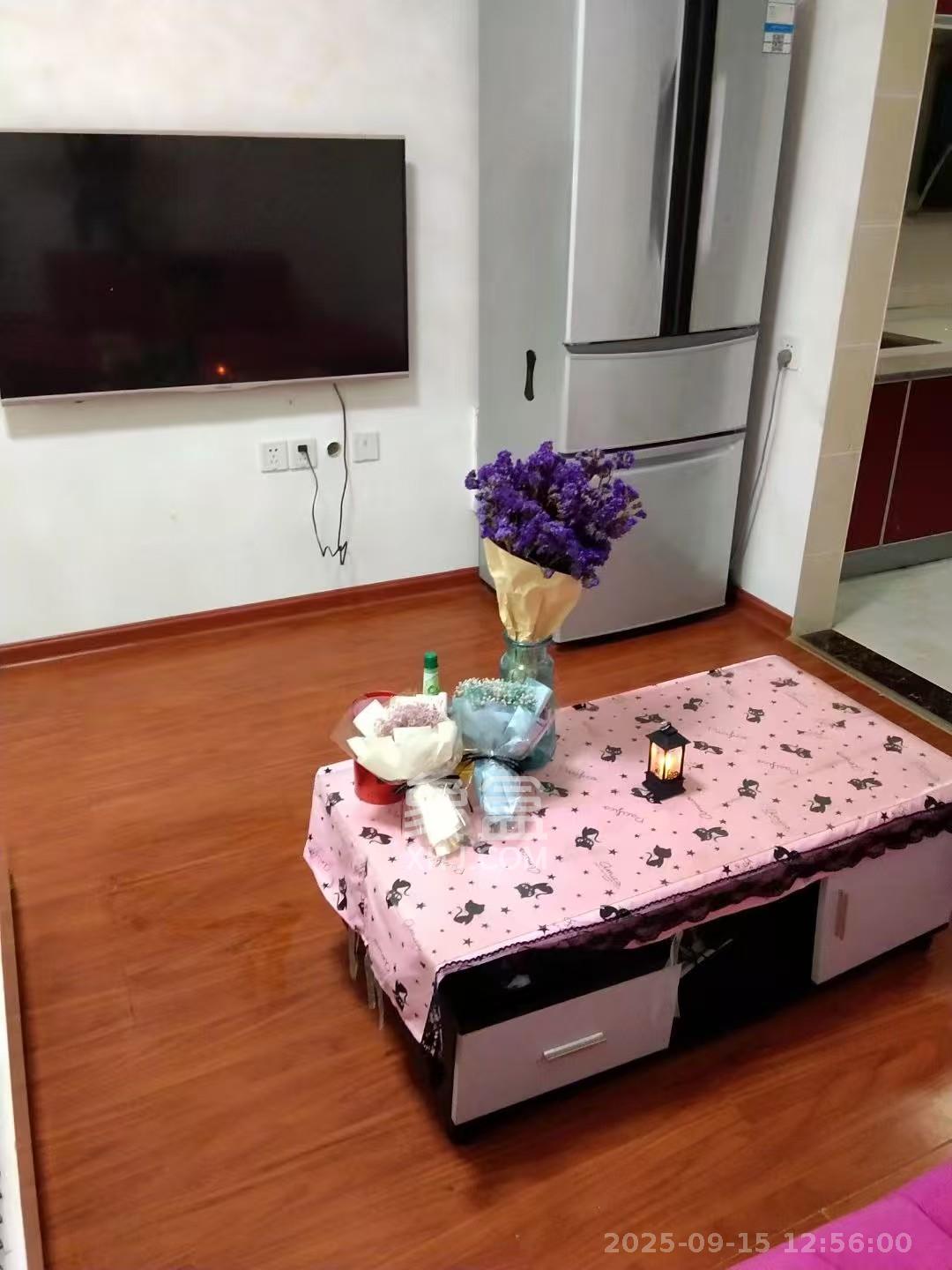 永林小时代  1室1厅1卫   1400.00元/月室内图