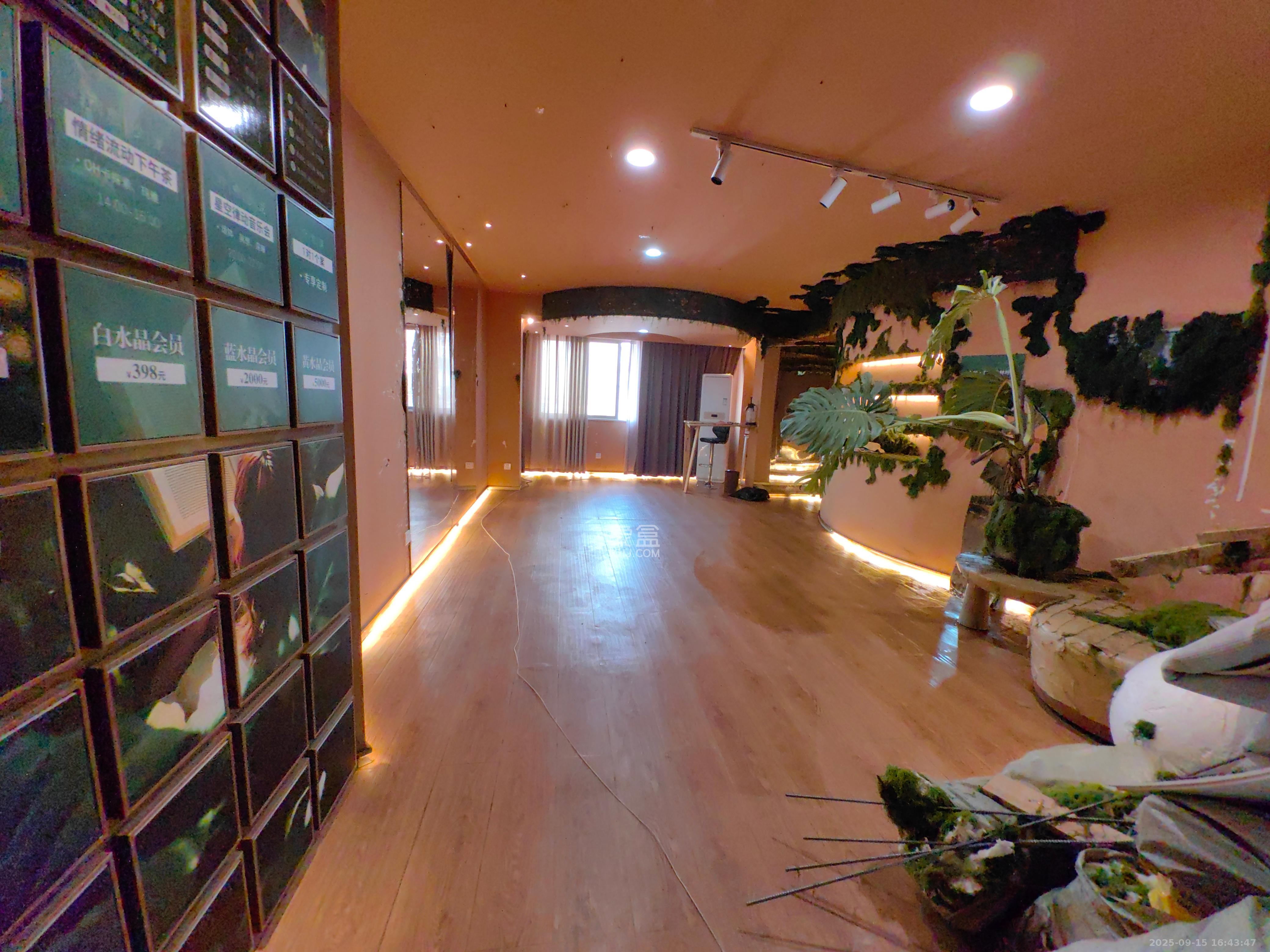 新大新  4室2厅2卫    6200.0元/月 新大新  4室2厅2卫    6200.0元/月室内图