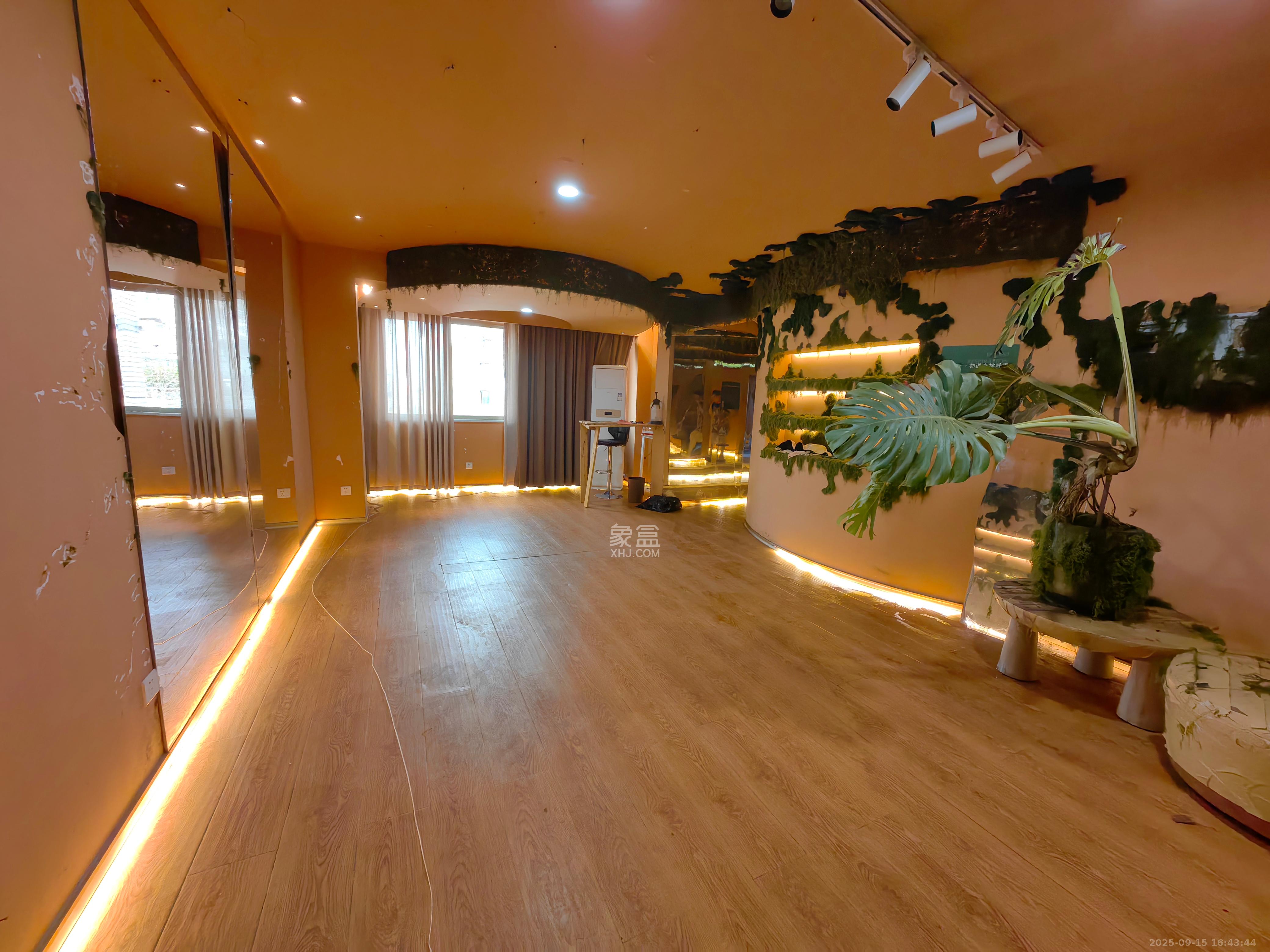 新大新  4室2厅2卫    6200.0元/月 新大新  4室2厅2卫    6200.0元/月室内图